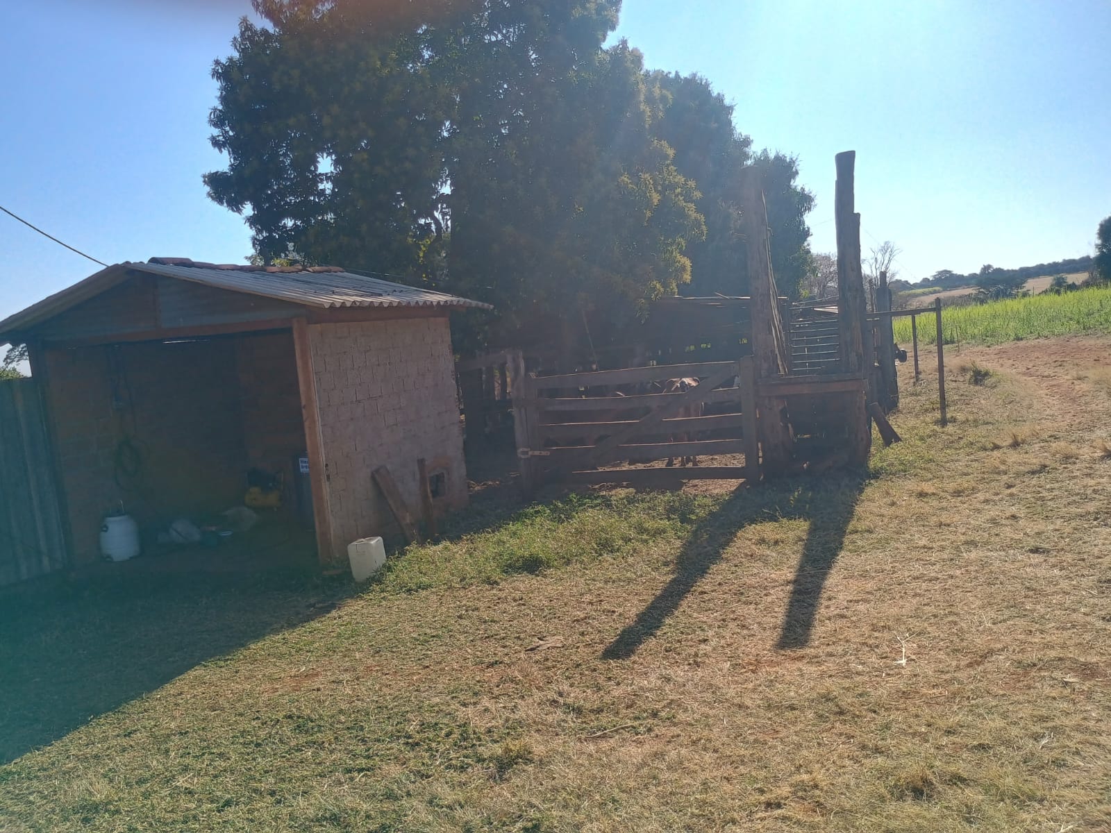 VENDE: SITIO DE 11 HECTARES  e 700  - 7 KM DO CENTRO DE BRODOWSKI-SP.