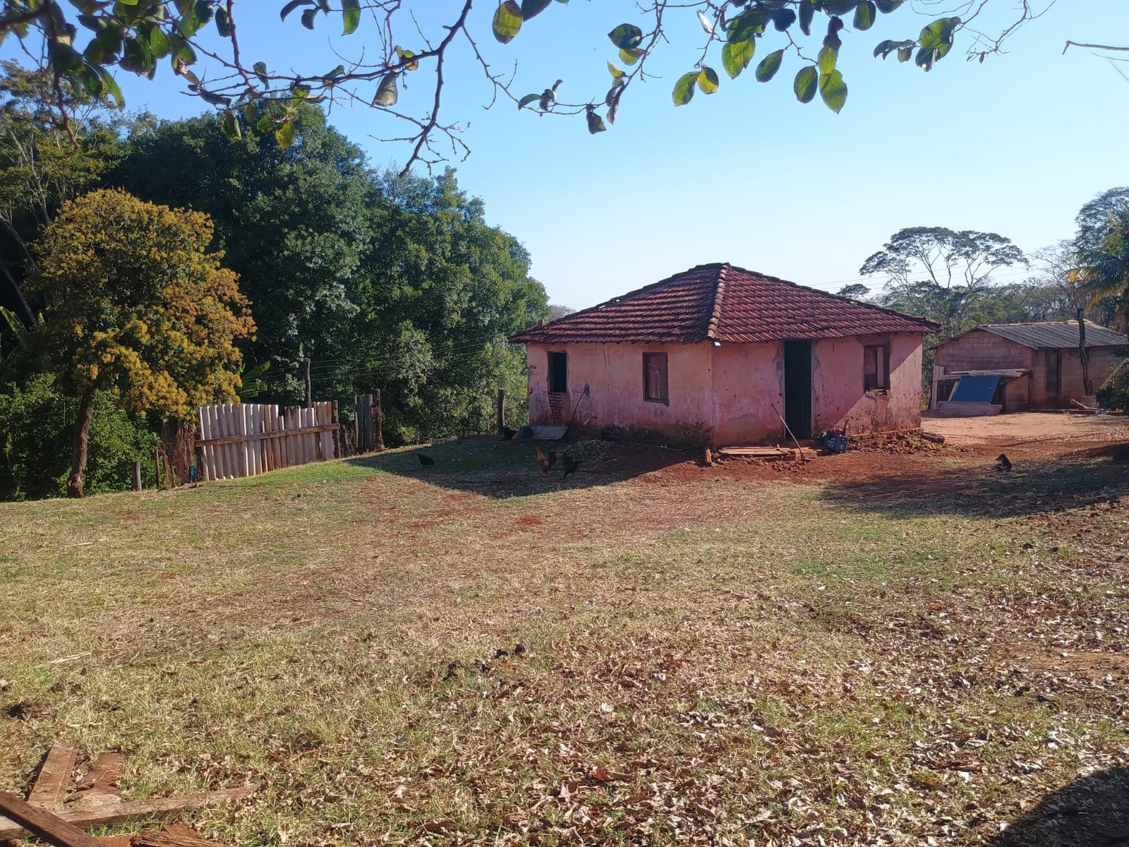 VENDE: SITIO DE 11 HECTARES  e 700  - 7 KM DO CENTRO DE BRODOWSKI-SP.