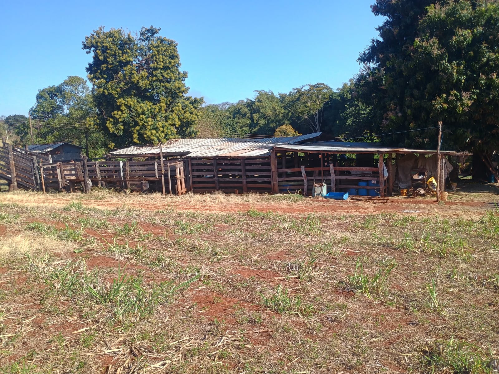 VENDE: SITIO DE 11 HECTARES  e 700  - 7 KM DO CENTRO DE BRODOWSKI-SP.