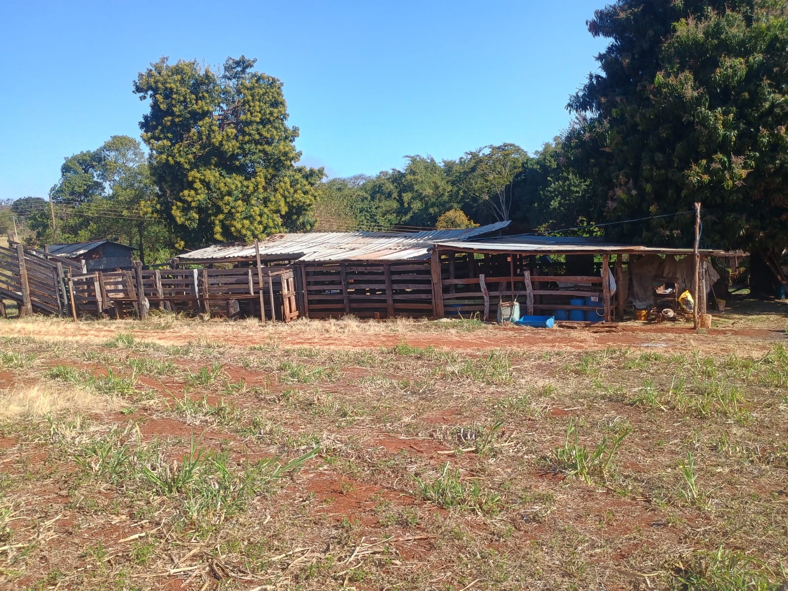 VENDE: SITIO DE 11 HECTARES  e 700  - 7 KM DO CENTRO DE BRODOWSKI-SP.