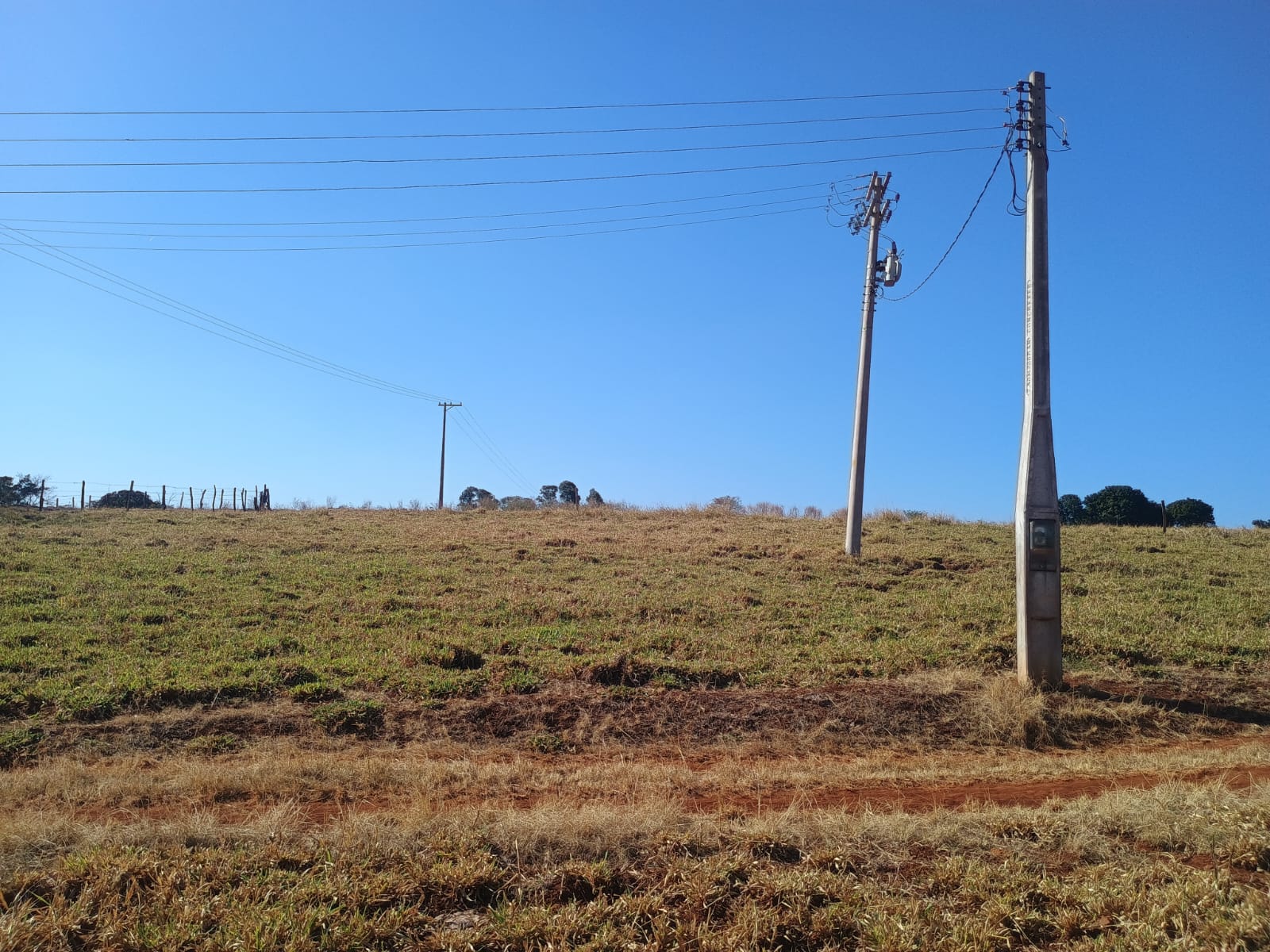 VENDE: SITIO DE 11 HECTARES  e 700  - 7 KM DO CENTRO DE BRODOWSKI-SP.