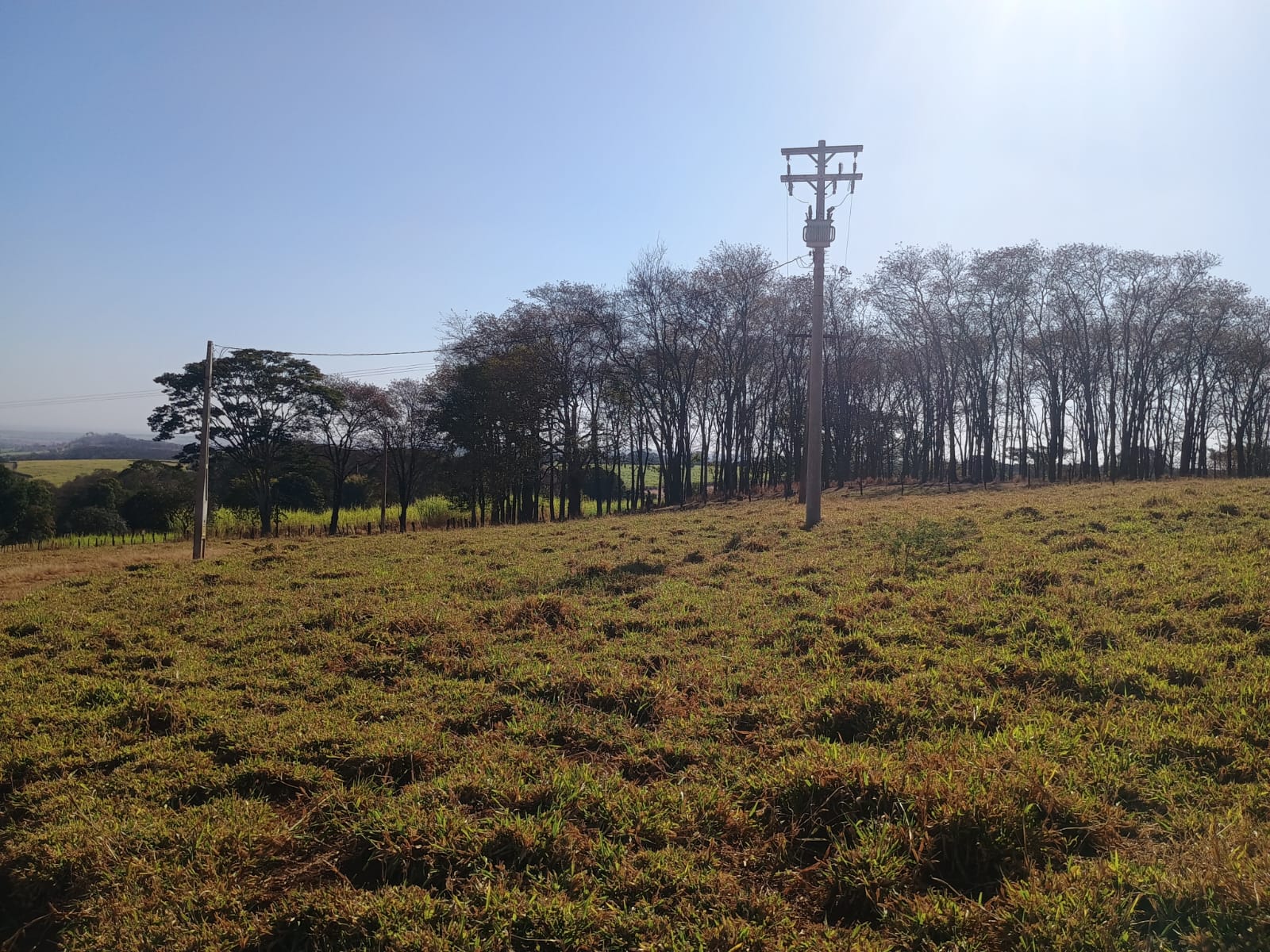 VENDE: SITIO DE 11 HECTARES  e 700  - 7 KM DO CENTRO DE BRODOWSKI-SP.