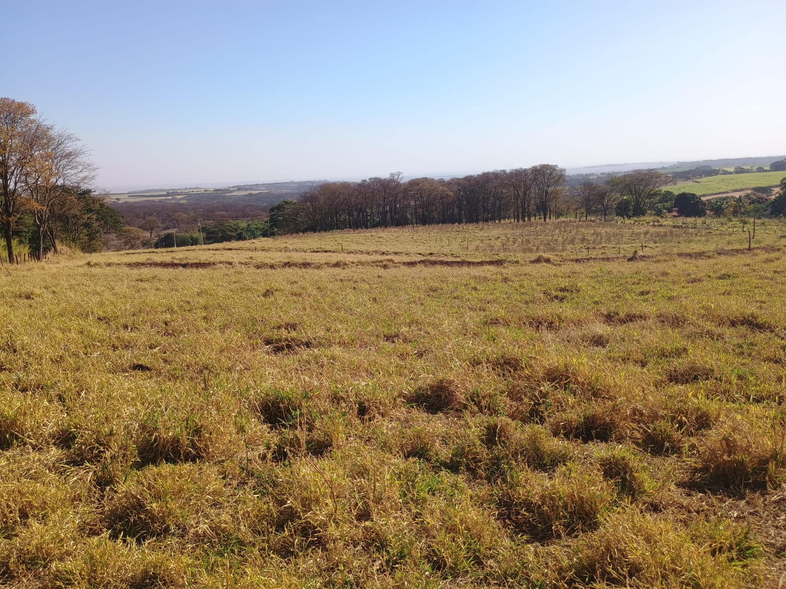 VENDE: SITIO DE 11 HECTARES  e 700  - 7 KM DO CENTRO DE BRODOWSKI-SP.