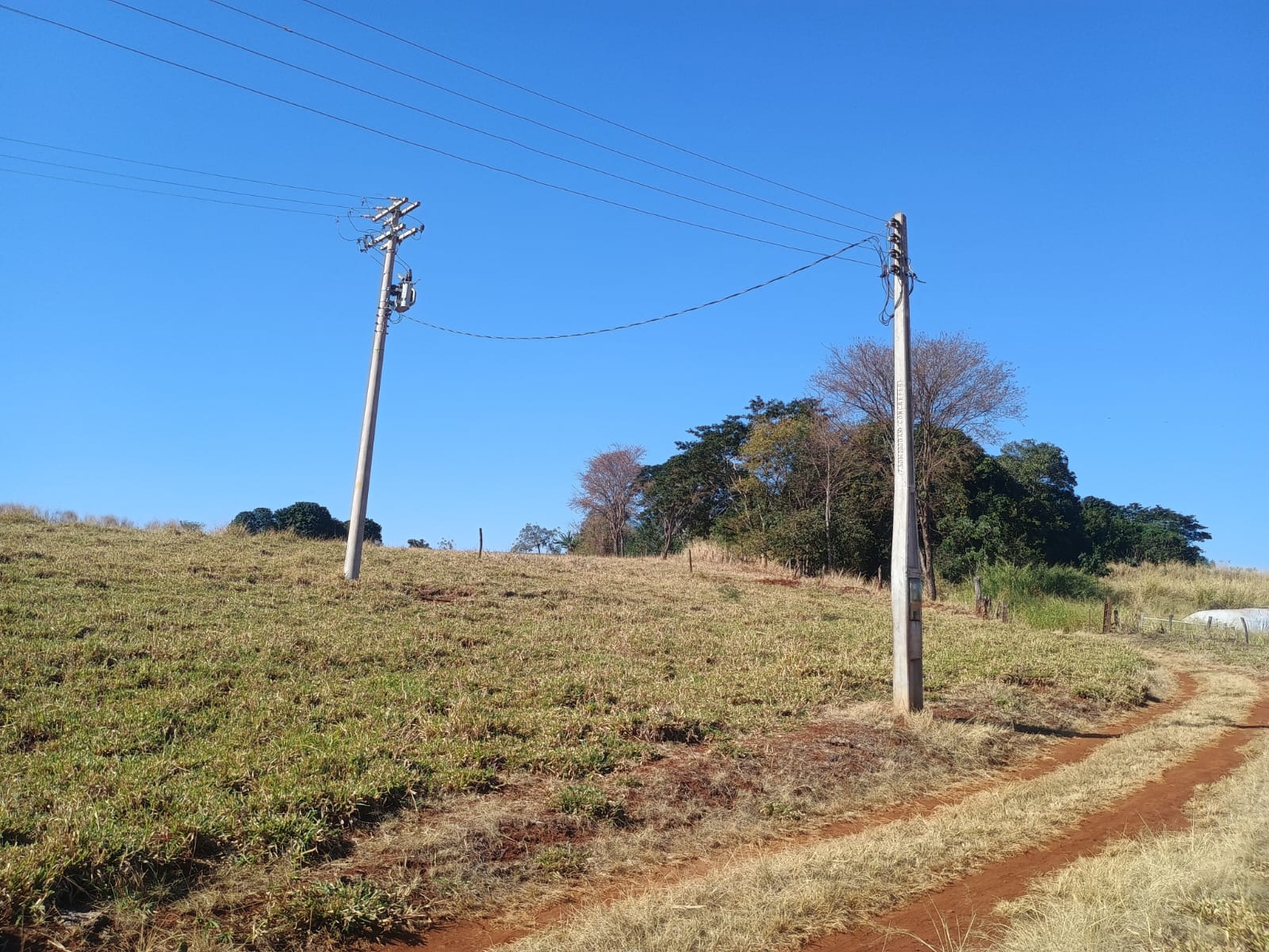 VENDE: SITIO DE 11 HECTARES  e 700  - 7 KM DO CENTRO DE BRODOWSKI-SP.