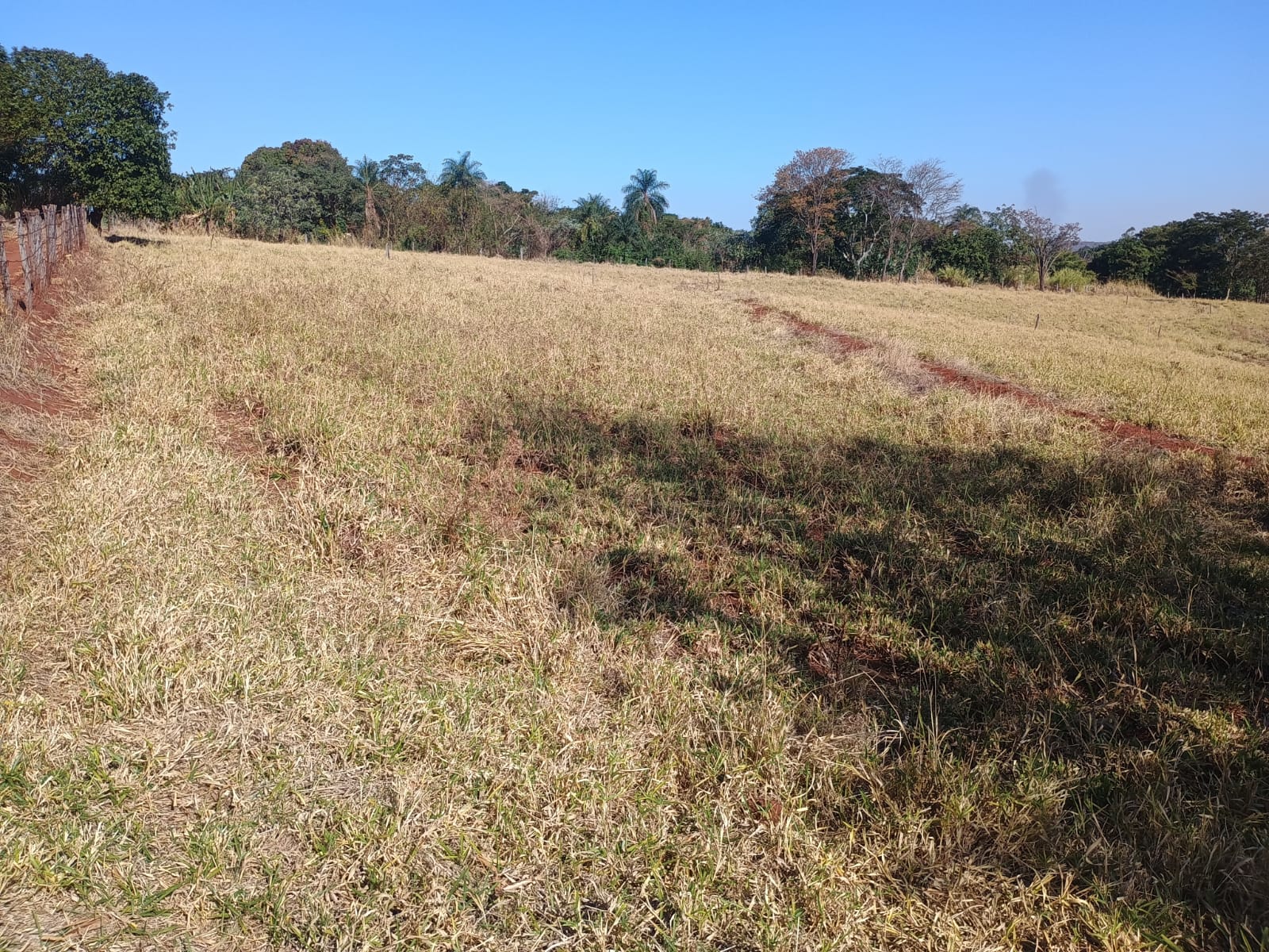 VENDE: SITIO DE 11 HECTARES  e 700  - 7 KM DO CENTRO DE BRODOWSKI-SP.