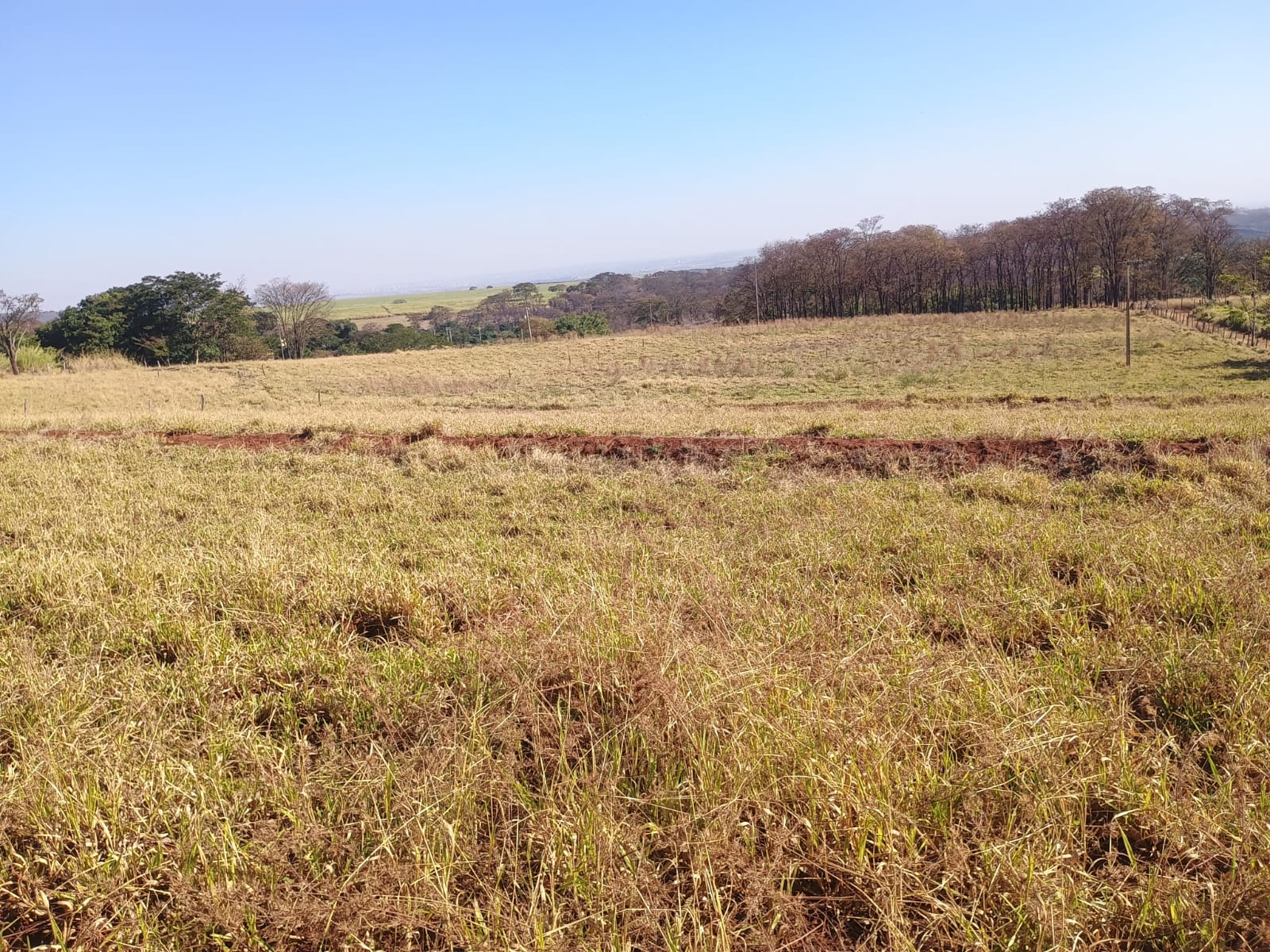 VENDE: SITIO DE 11 HECTARES  e 700  - 7 KM DO CENTRO DE BRODOWSKI-SP.