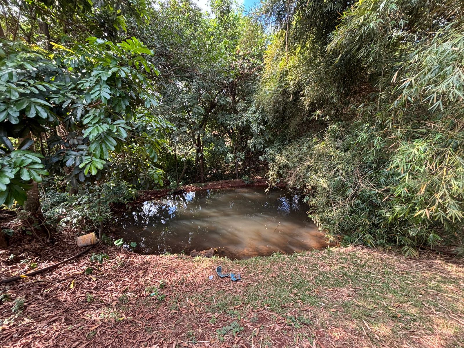 CHÁCARA À VENDA - CONFORTO - LAZER E CONTATO COM A NATUREZA - BRODOWSKI-SP: