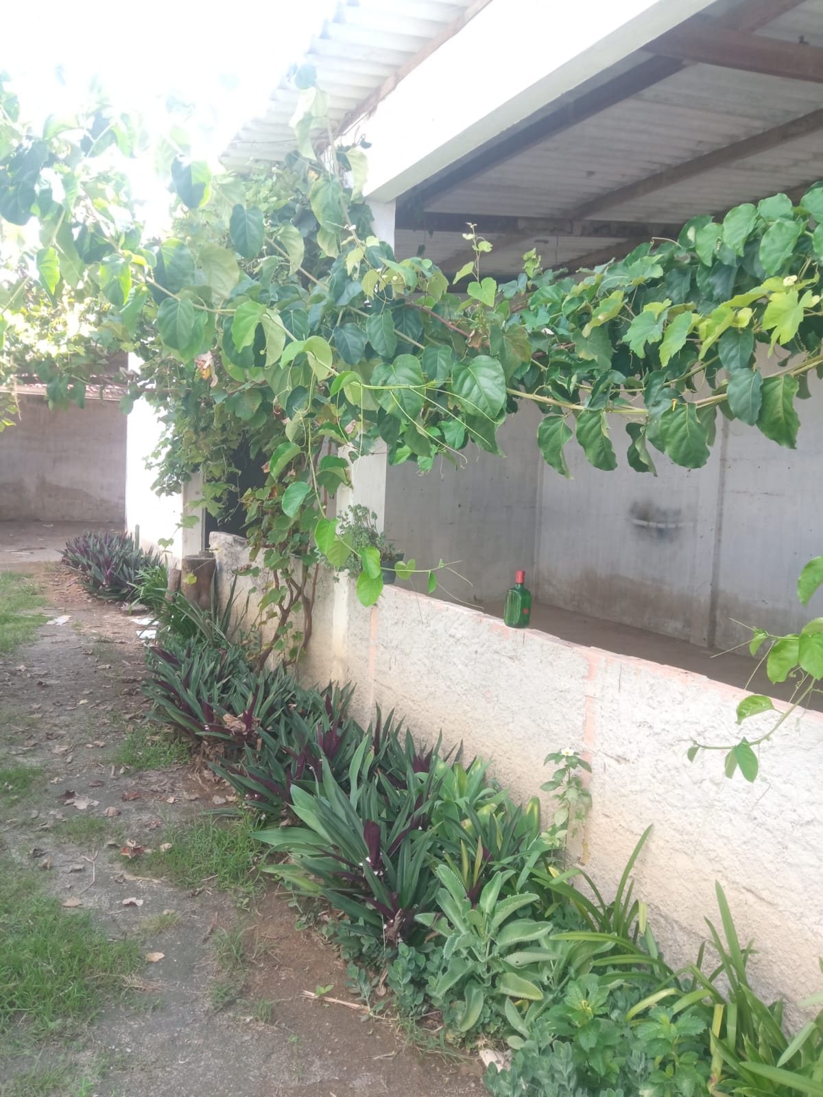 Aluga galpão no bairro Centauro