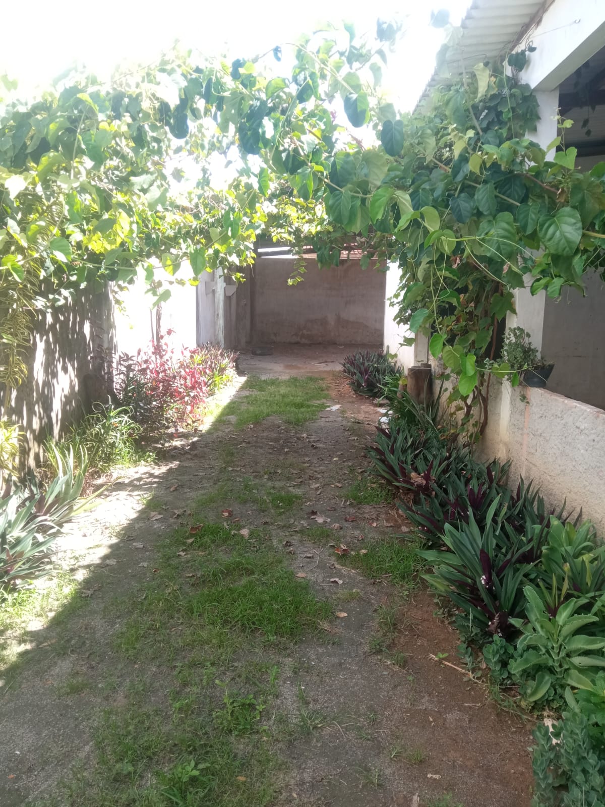 Aluga galpão no bairro Centauro