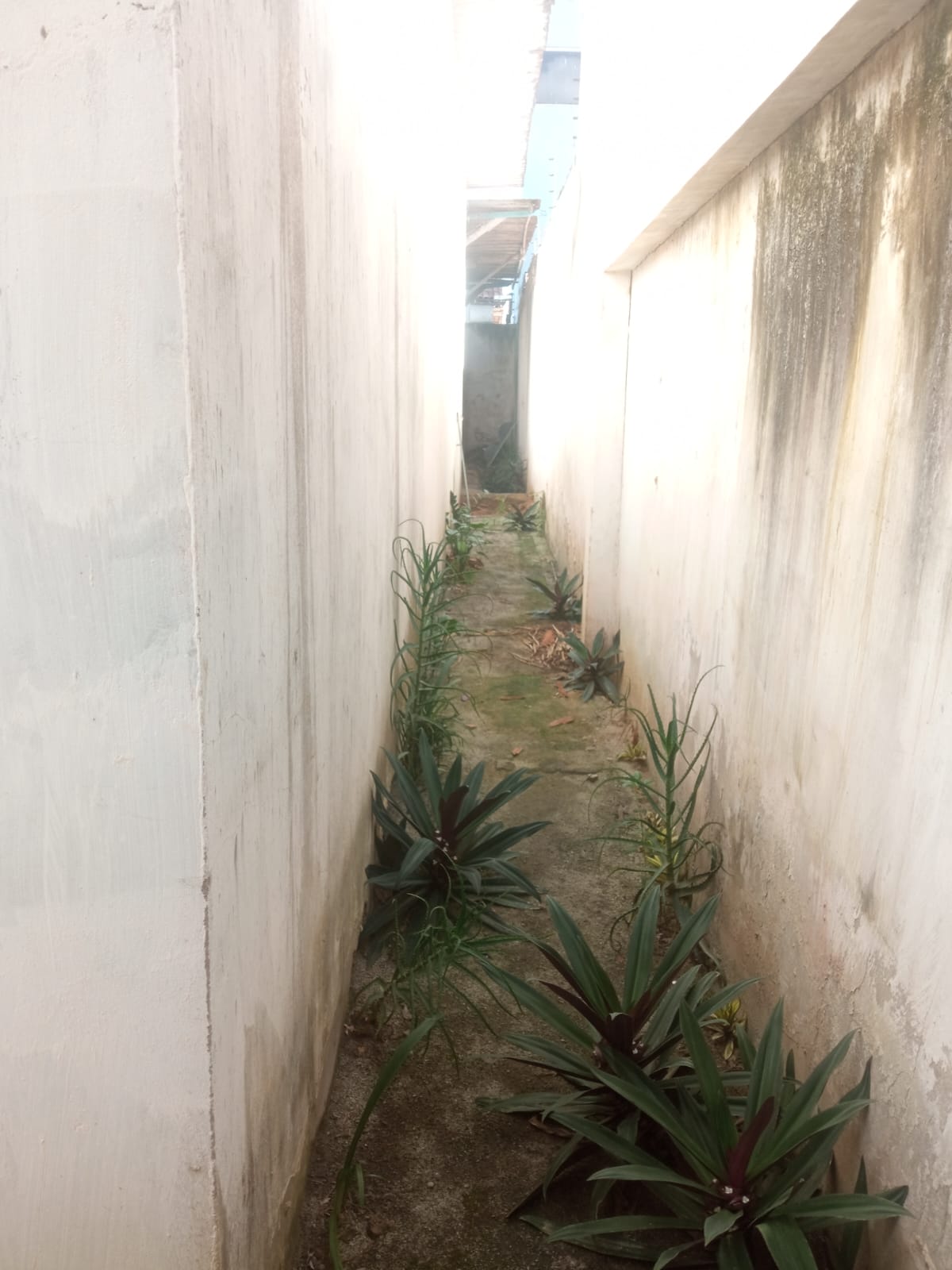 Aluga galpão no bairro Centauro