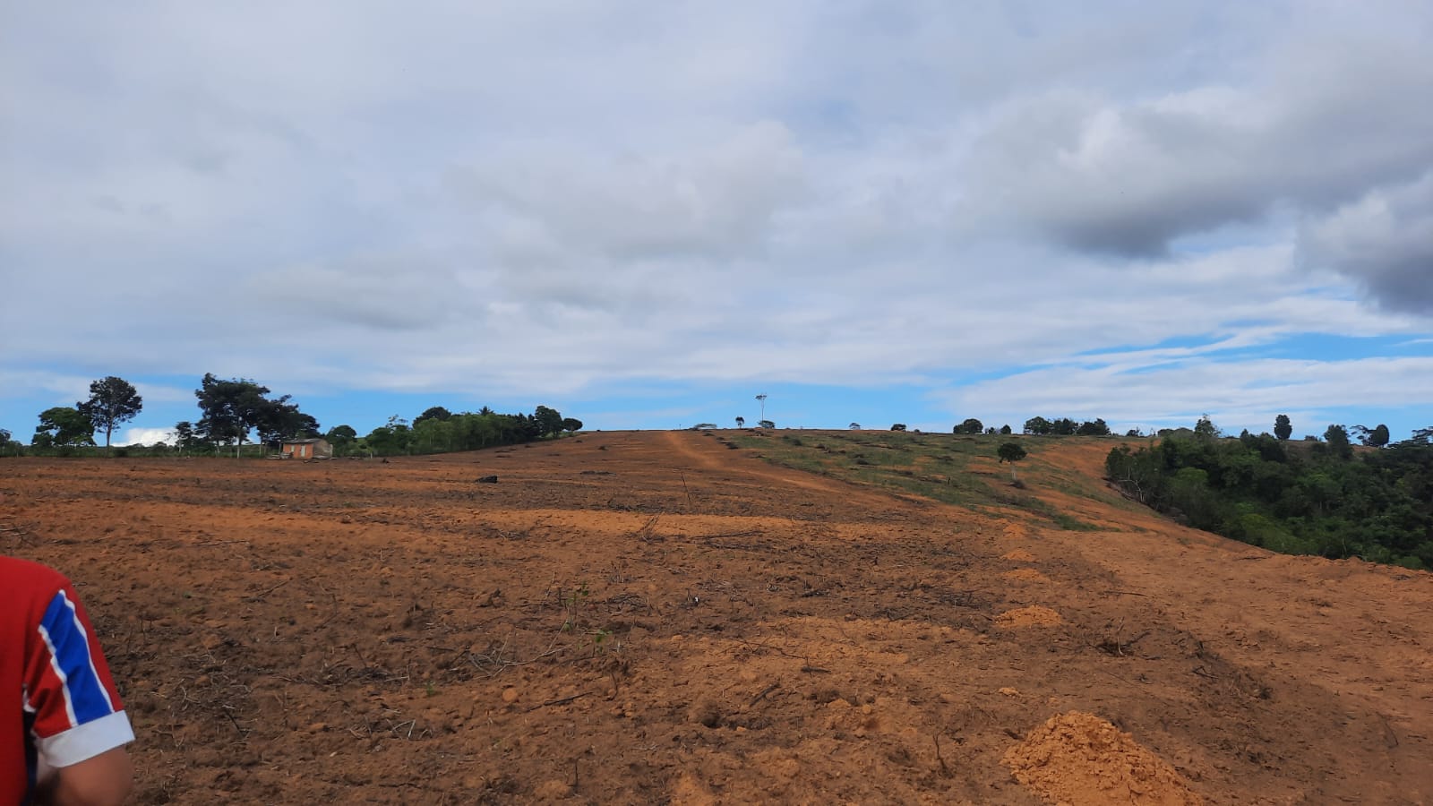Vende Fazenda com 43 Hectares na Região da Colonial em Eunápolis 