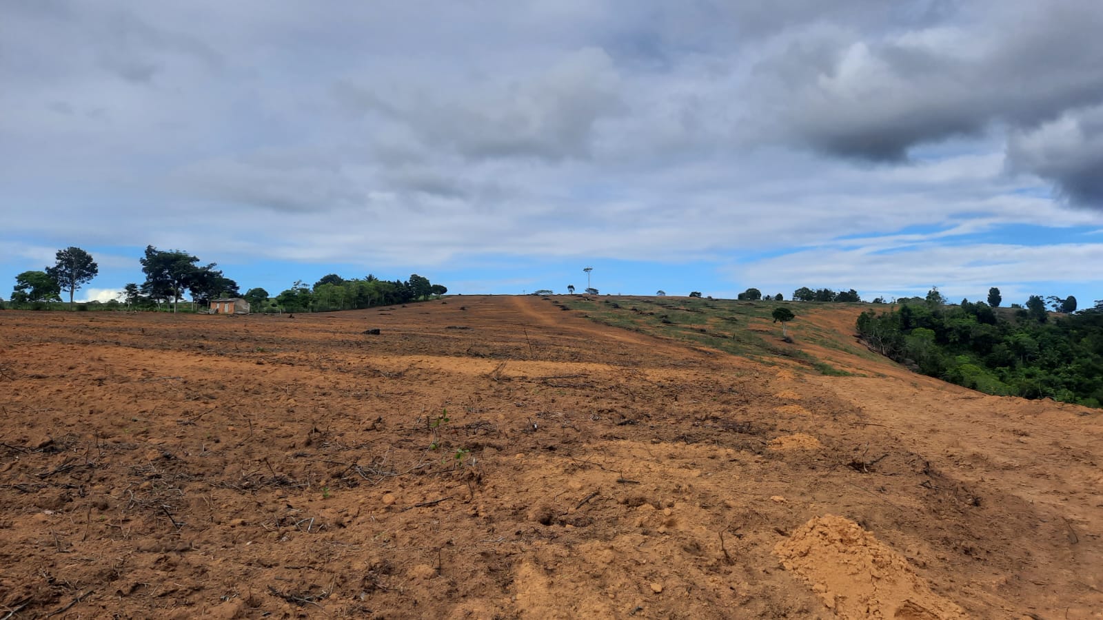 Vende Fazenda com 43 Hectares na Região da Colonial em Eunápolis 