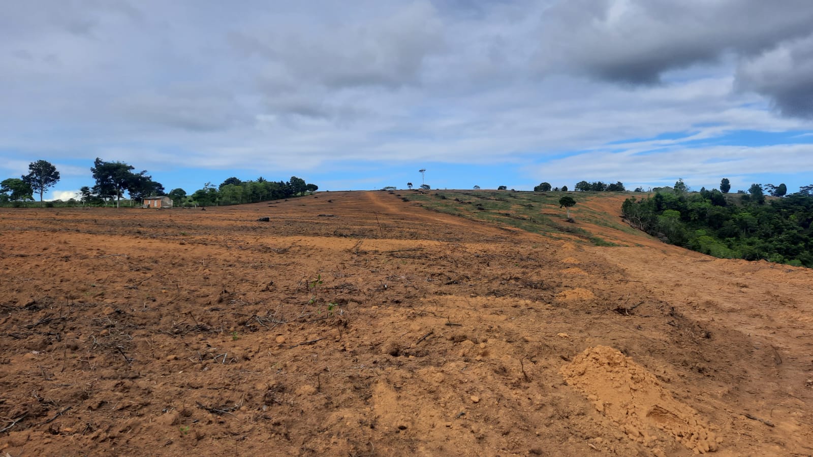 Vende Fazenda com 43 Hectares na Região da Colonial em Eunápolis 