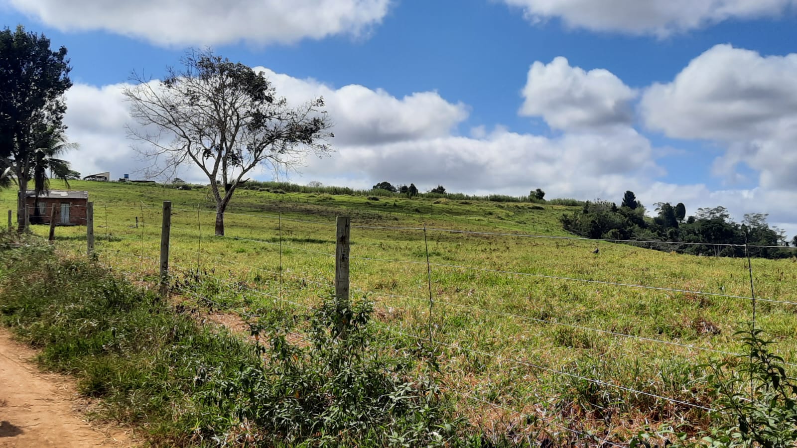 Vende Fazenda com 43 Hectares na Região da Colonial em Eunápolis 