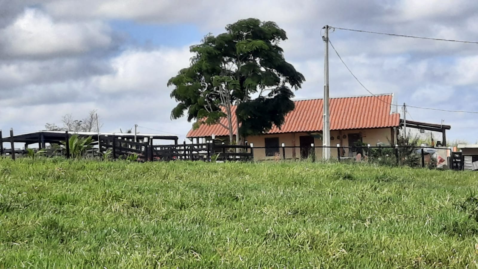 Fazenda - Venda, Eunápolis, BA