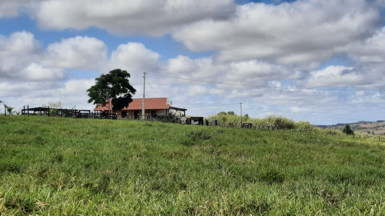 Vende Fazenda com 43 Hectares na Região da Colonial em Eunápolis 