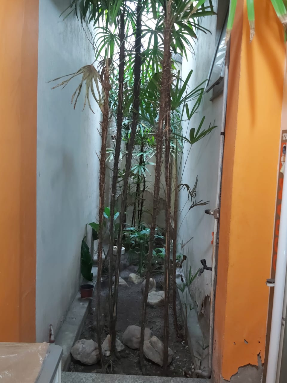 Aluga Excelente Ponto Comercial na Av. Porto Seguro