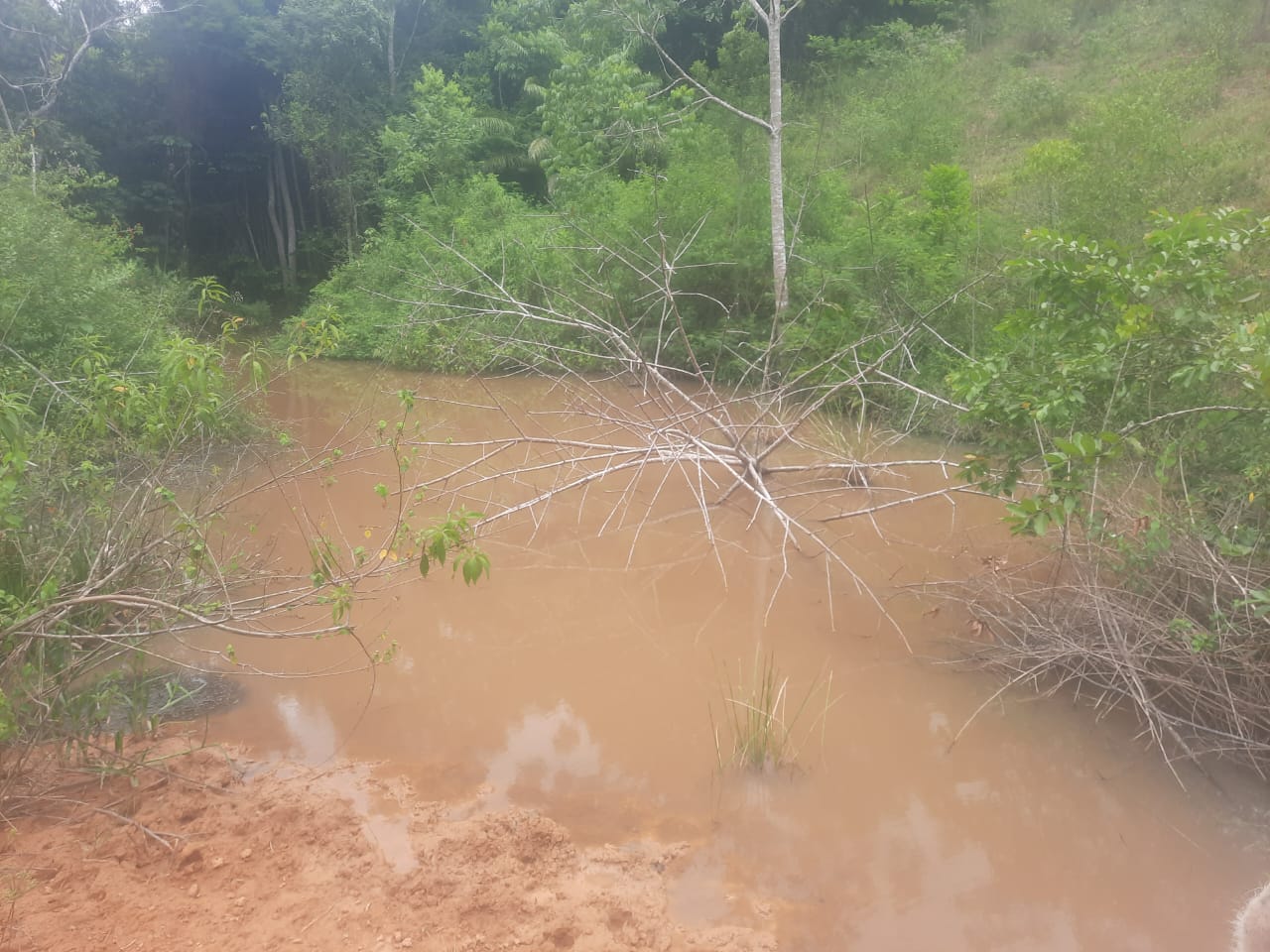 Propriedade de 43 hectares 