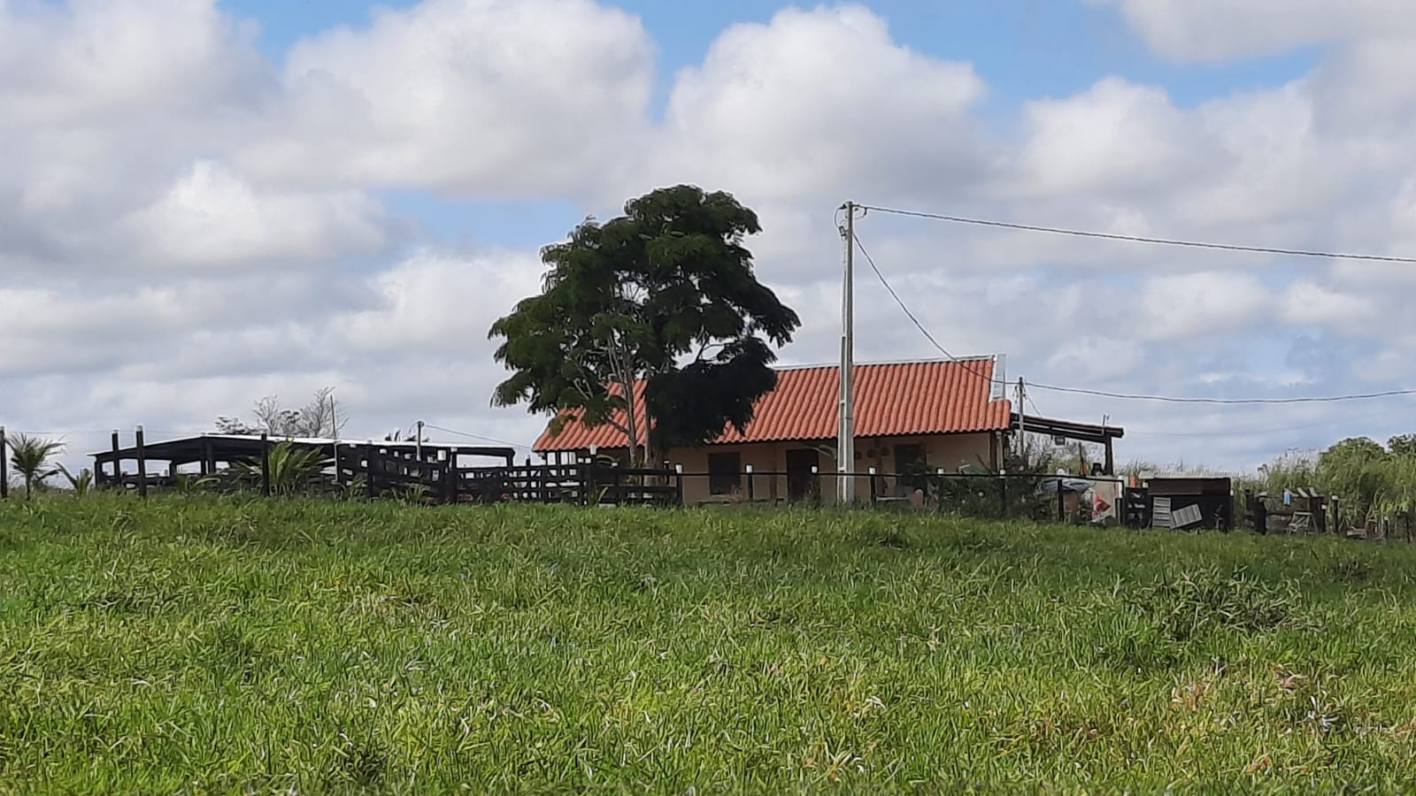 Propriedade de 43 hectares 