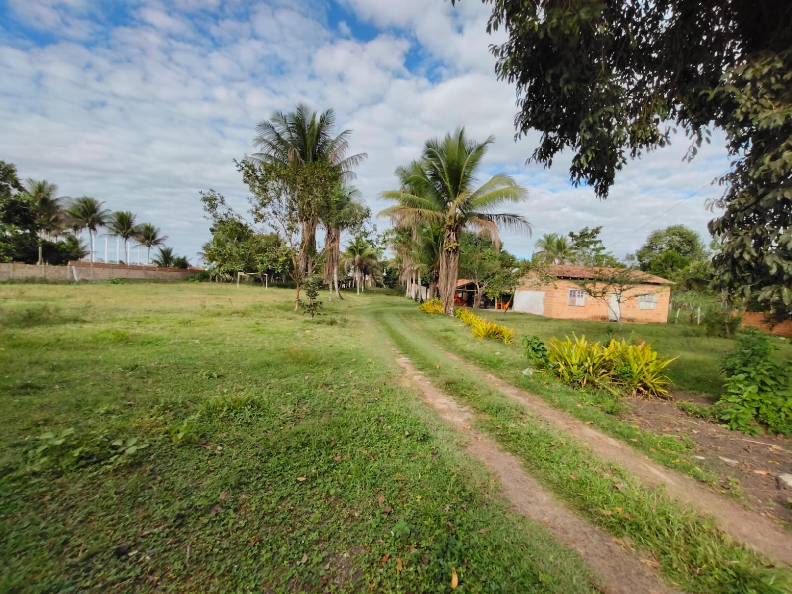 Vende Excelente sítio no Alecrim