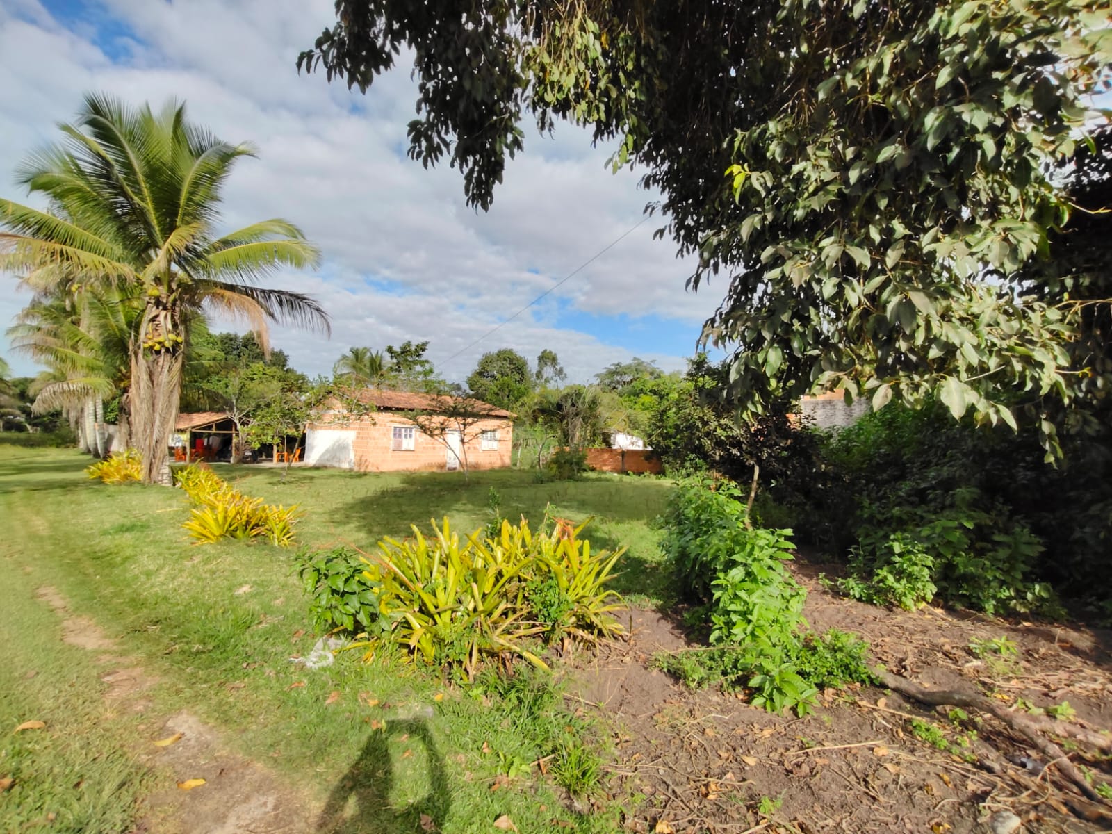 Vende Excelente sítio no Alecrim