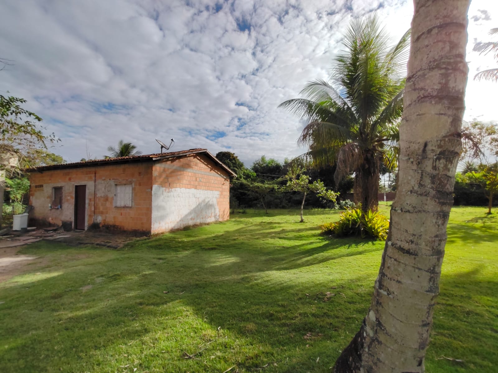 Vende Excelente sítio no Alecrim