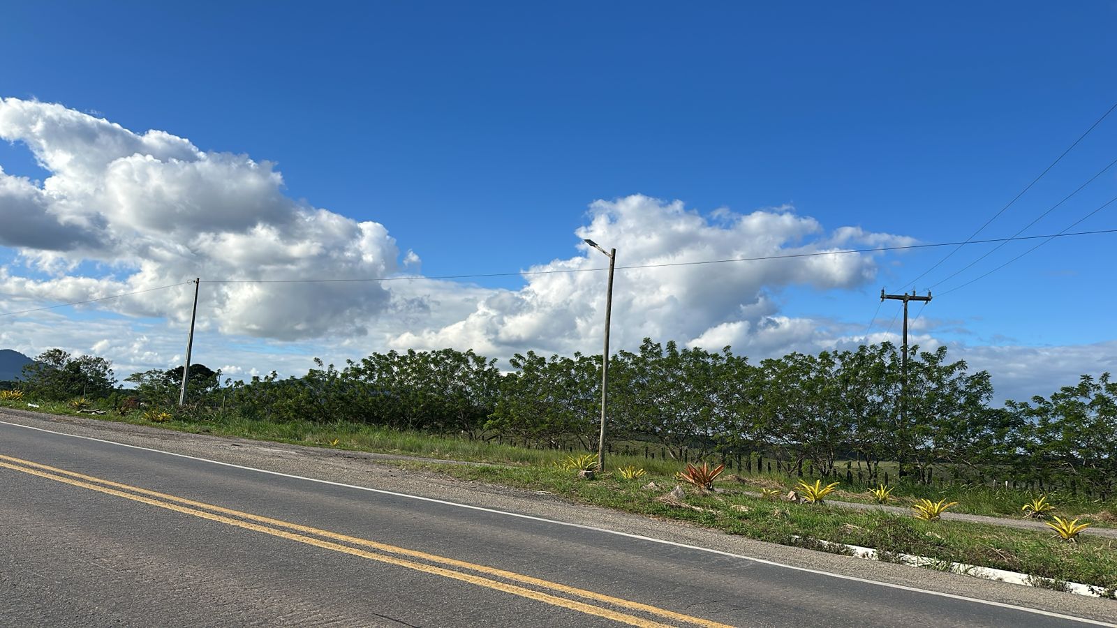 Área à Venda – BR-101, próximo a Itagimirim/BA