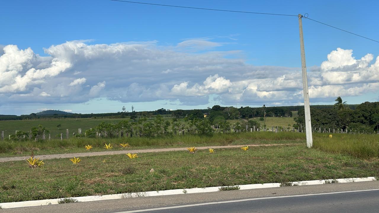 Área à Venda – BR-101, próximo a Itagimirim/BA