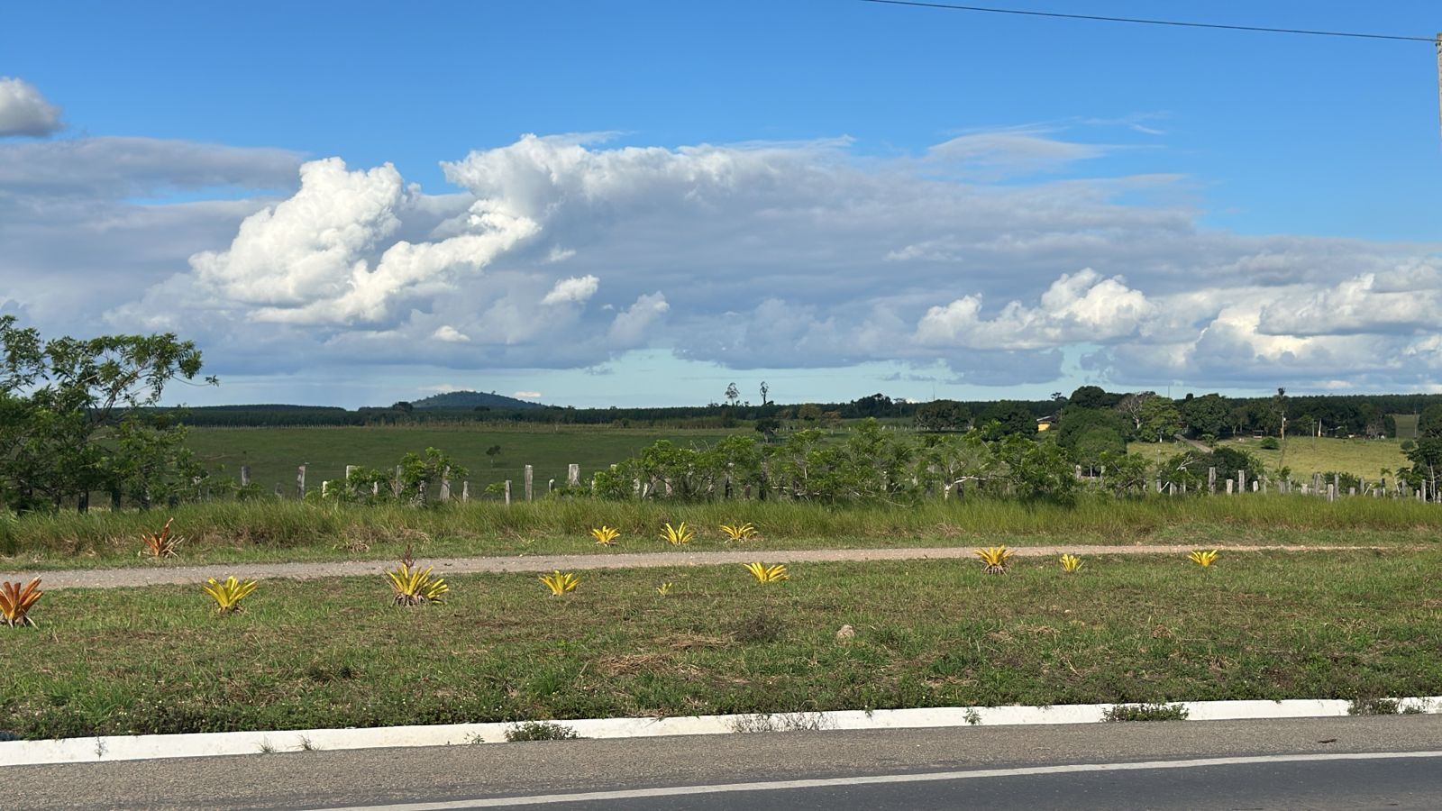 Área à Venda – BR-101, próximo a Itagimirim/BA