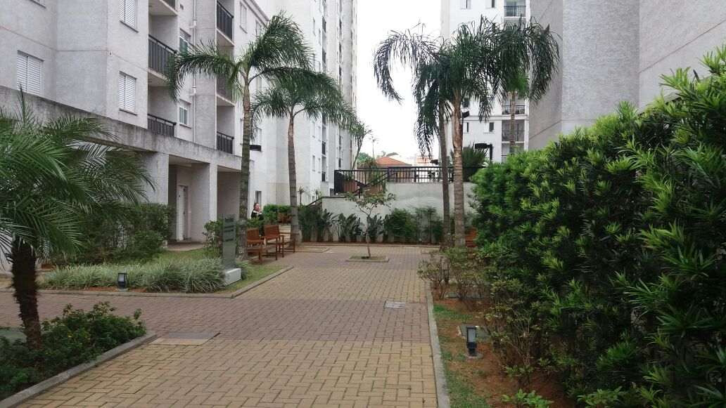 LINDO APARTAMENTO (Cond. UP GRADE) - VILA METALÚRGICA - SANTO ANDRÉ/SP