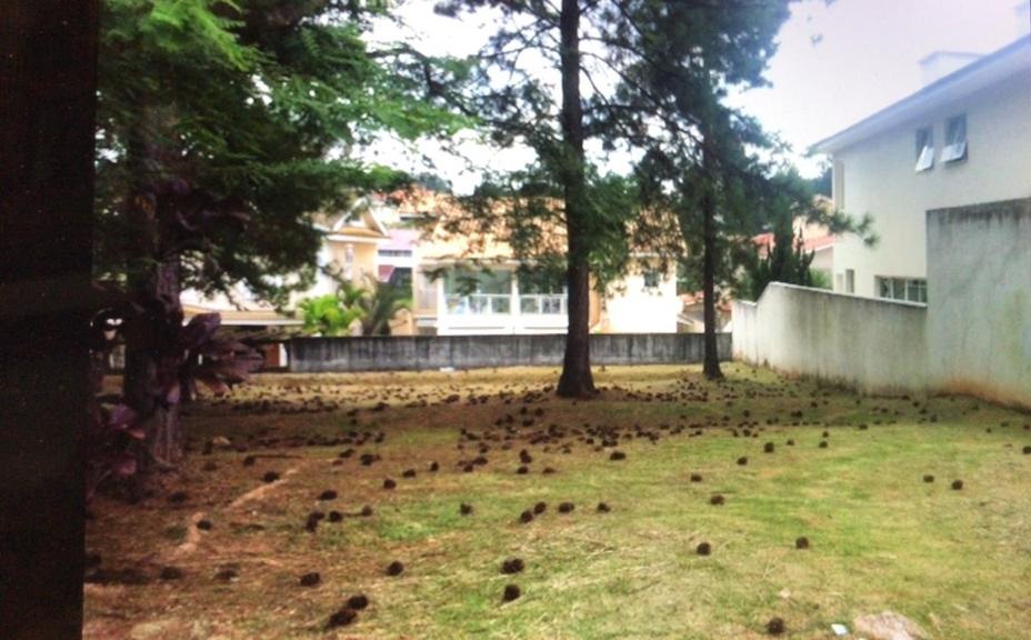 Lotes em Condomínio - Venda, Alphaville, Santana de Parnaíba, SP