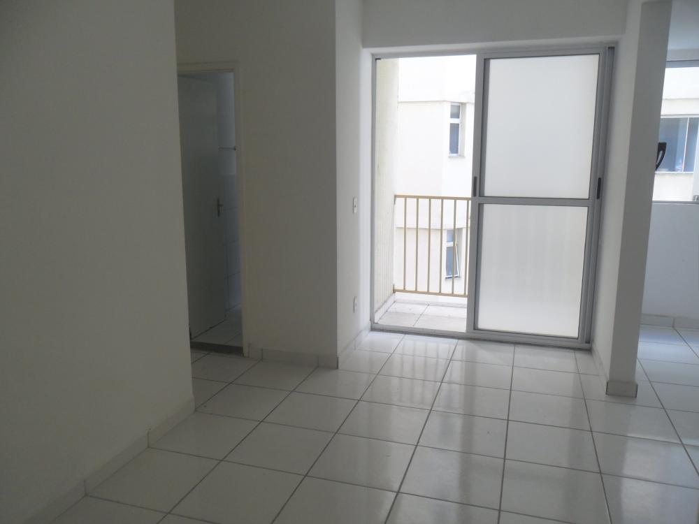 Apartamento - Locação, Agostinho Simonato, Cachoeiro de Itapemirim, ES