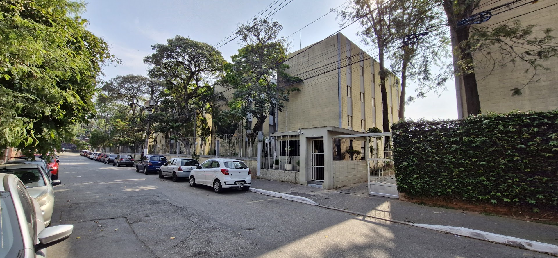Apartamento - Locação, Parque das Árvores, São Paulo, SP