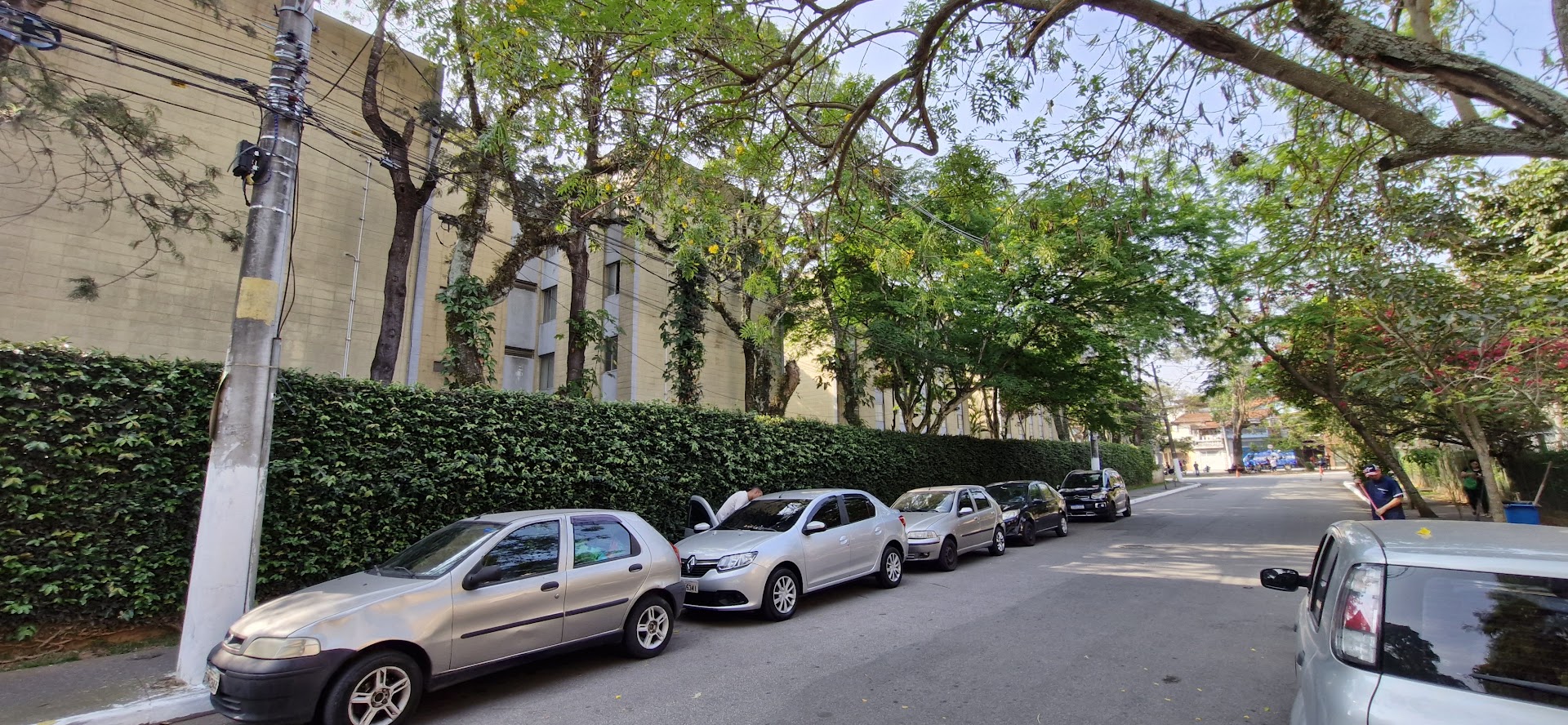 Apartamento - Venda, Parque das Árvores, São Paulo, SP