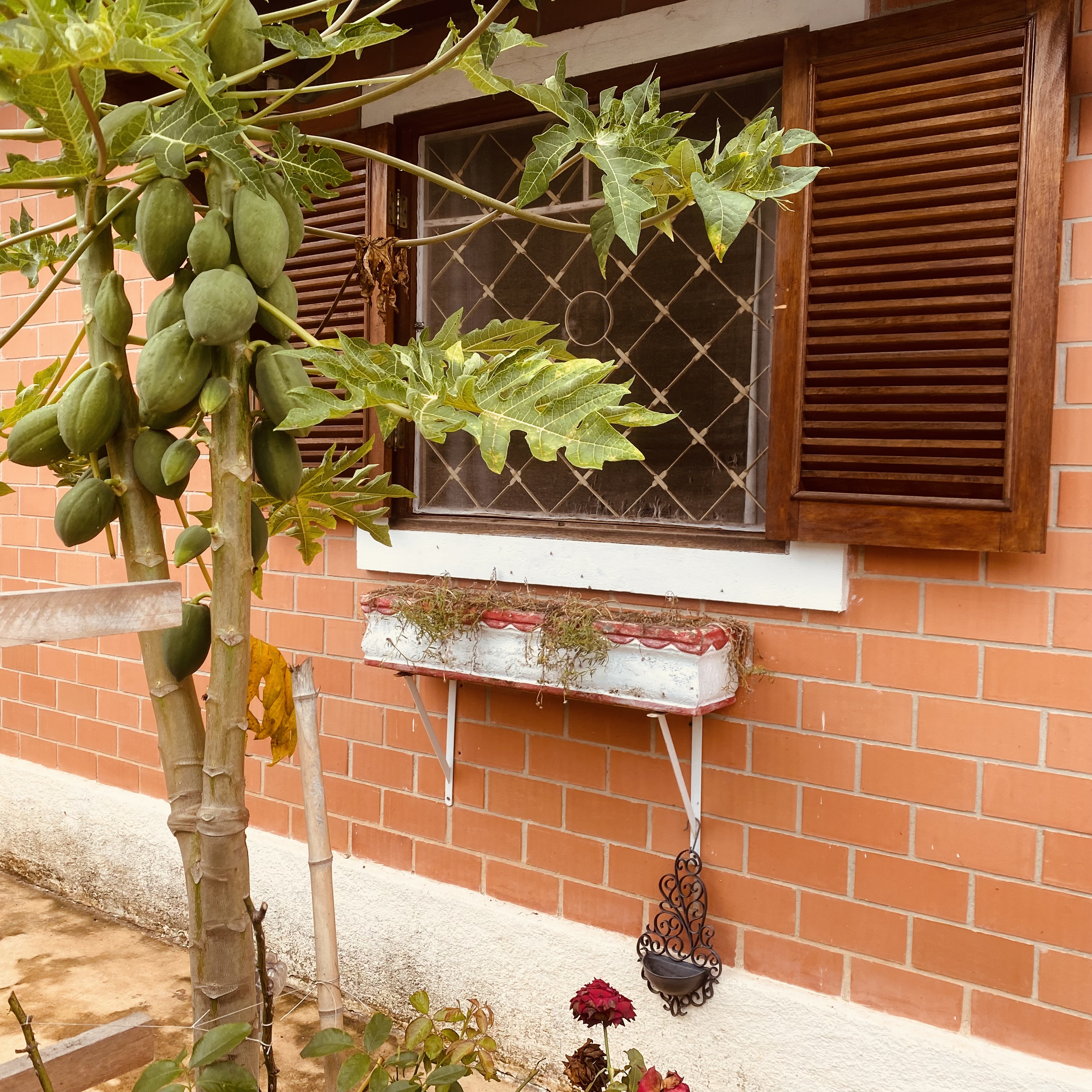 Casa - Venda, Água Branca, Ilhabela, SP