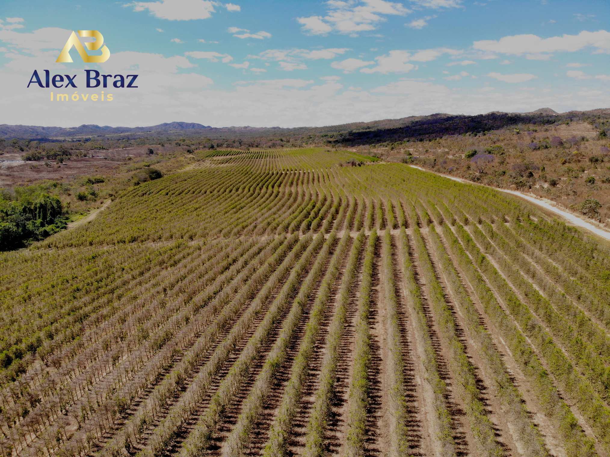 Rural - Venda, Área Rural de Planaltina, Planaltina, GO