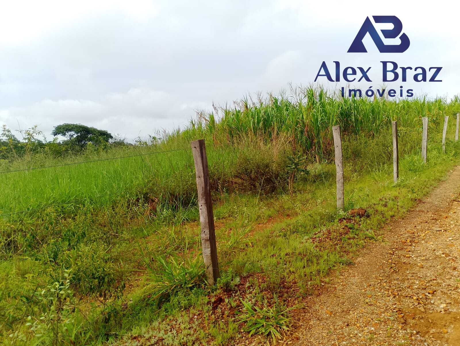 EXCELENTE SÍTIO À VENDA EM SANTO ANTÔNIO DO DESCOBERTO - GO