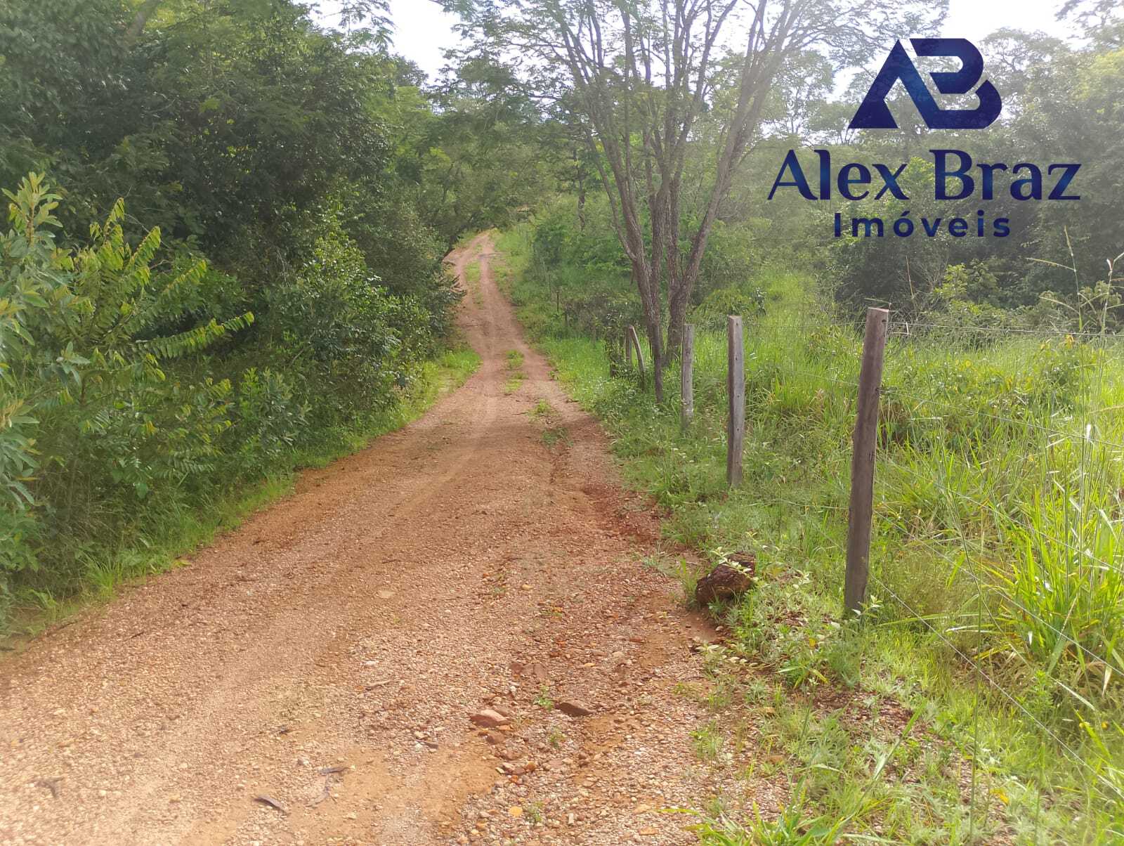 EXCELENTE SÍTIO À VENDA EM SANTO ANTÔNIO DO DESCOBERTO - GO