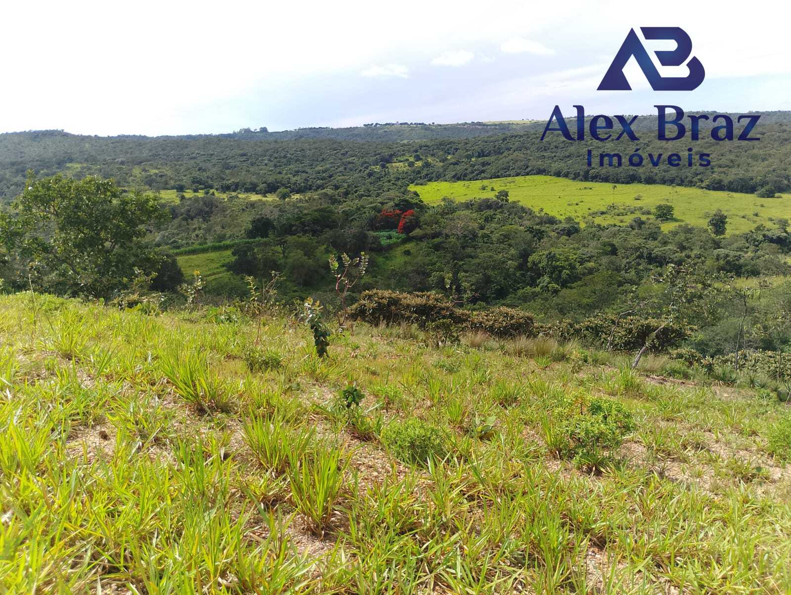 EXCELENTE SÍTIO À VENDA EM SANTO ANTÔNIO DO DESCOBERTO - GO