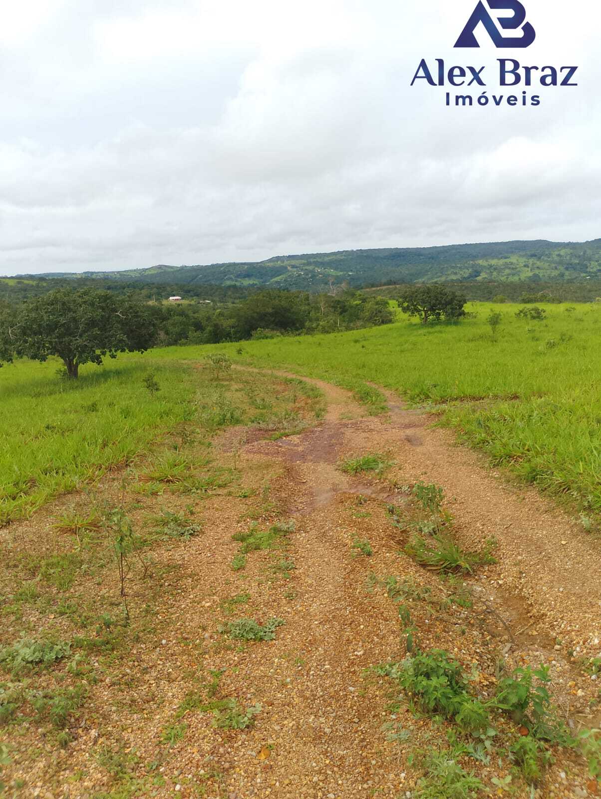 EXCELENTE SÍTIO À VENDA EM SANTO ANTÔNIO DO DESCOBERTO - GO