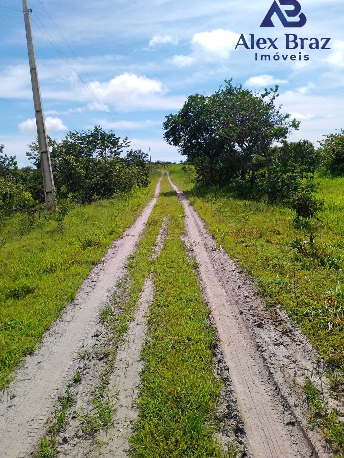 EXCELENTE SÍTIO À VENDA EM SANTO ANTÔNIO DO DESCOBERTO - GO
