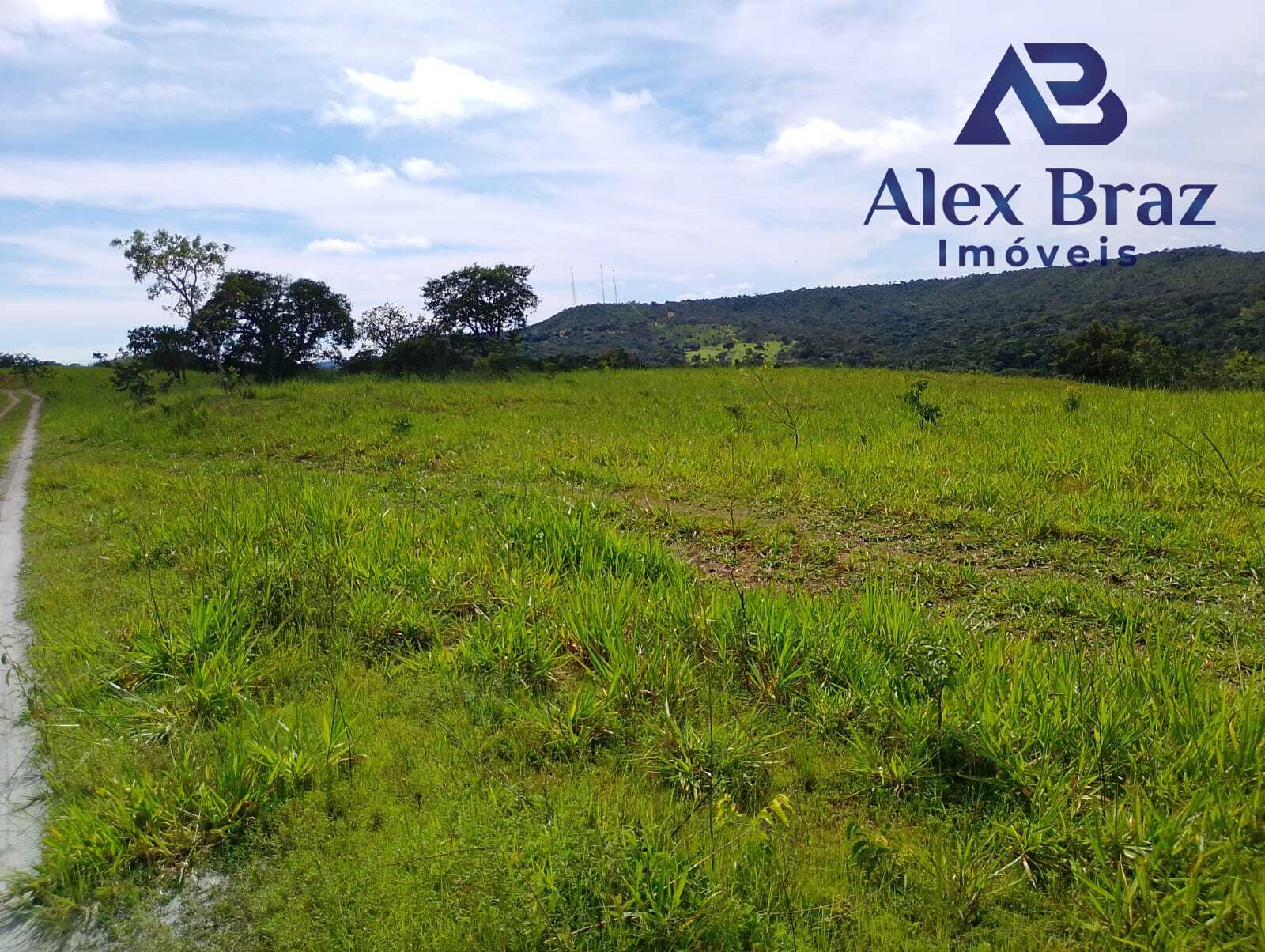 EXCELENTE SÍTIO À VENDA EM SANTO ANTÔNIO DO DESCOBERTO - GO