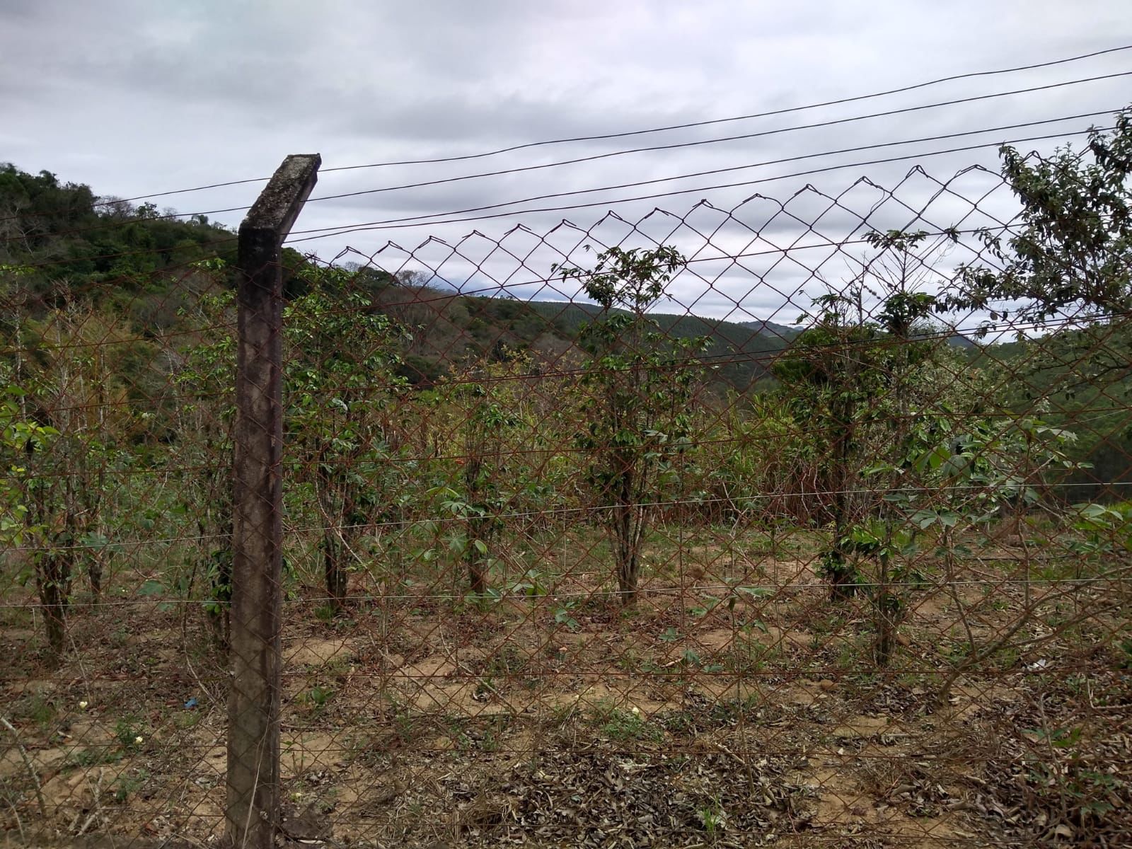 Chácara para venda