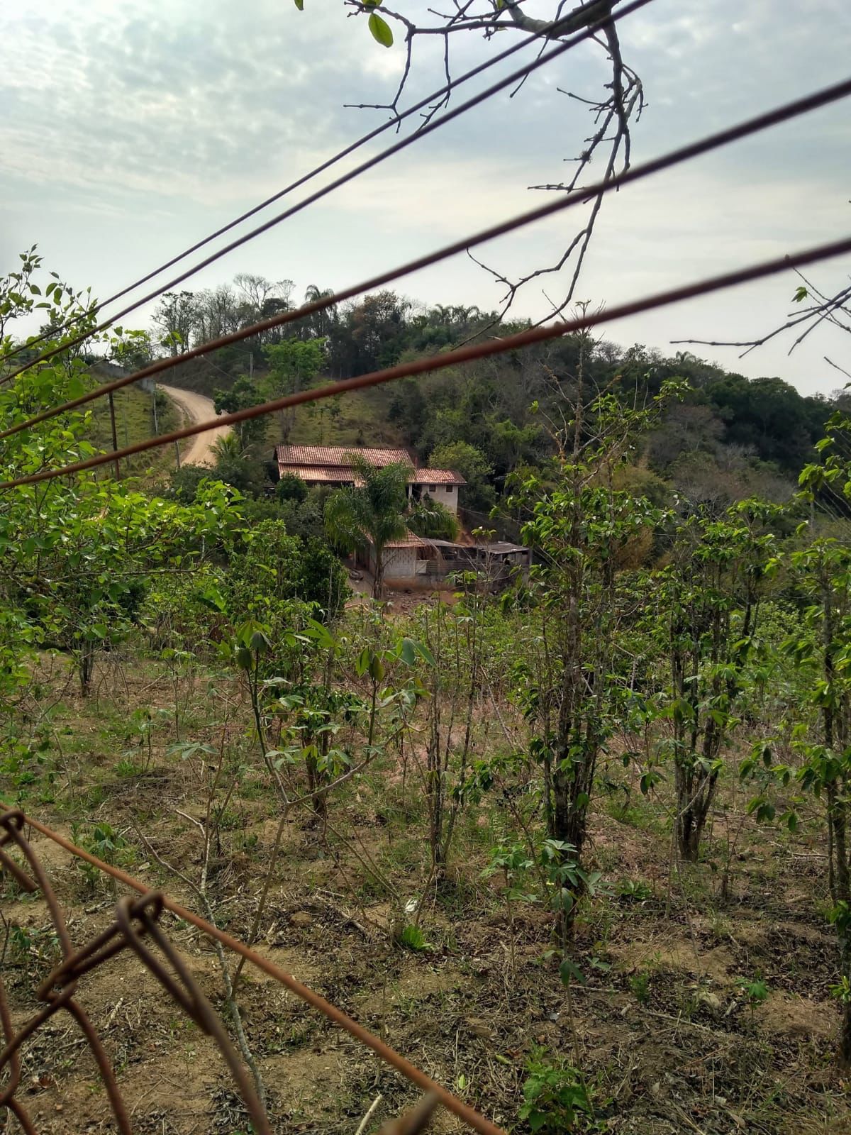 Chácara para venda