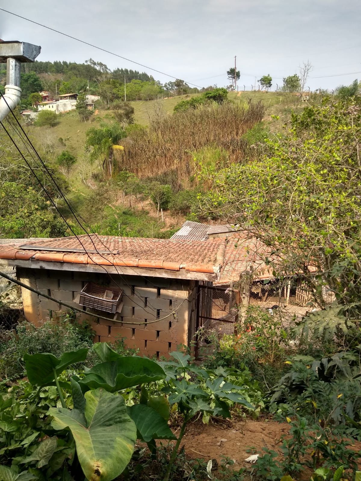 Chácara para venda