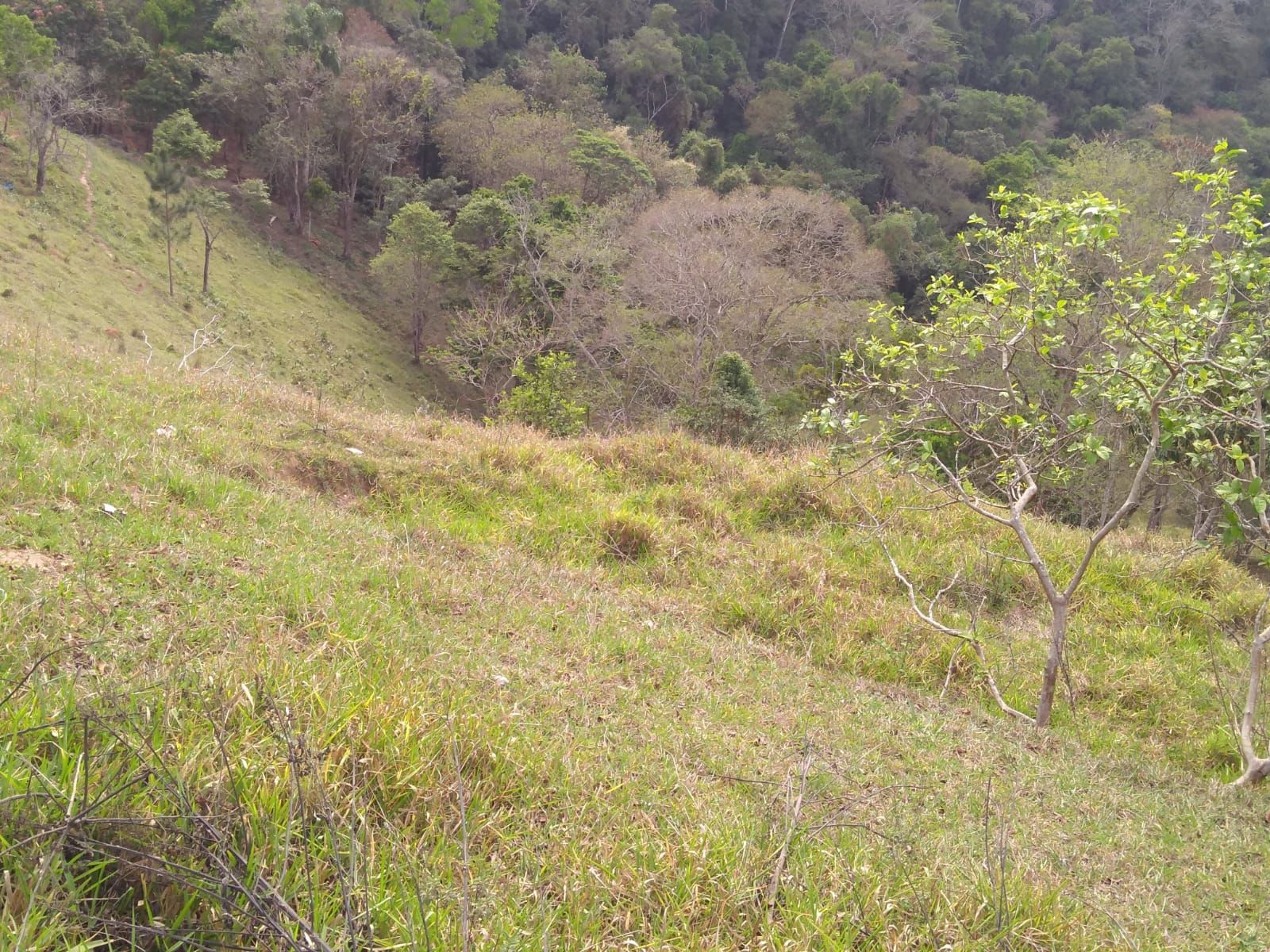 Chácara para venda