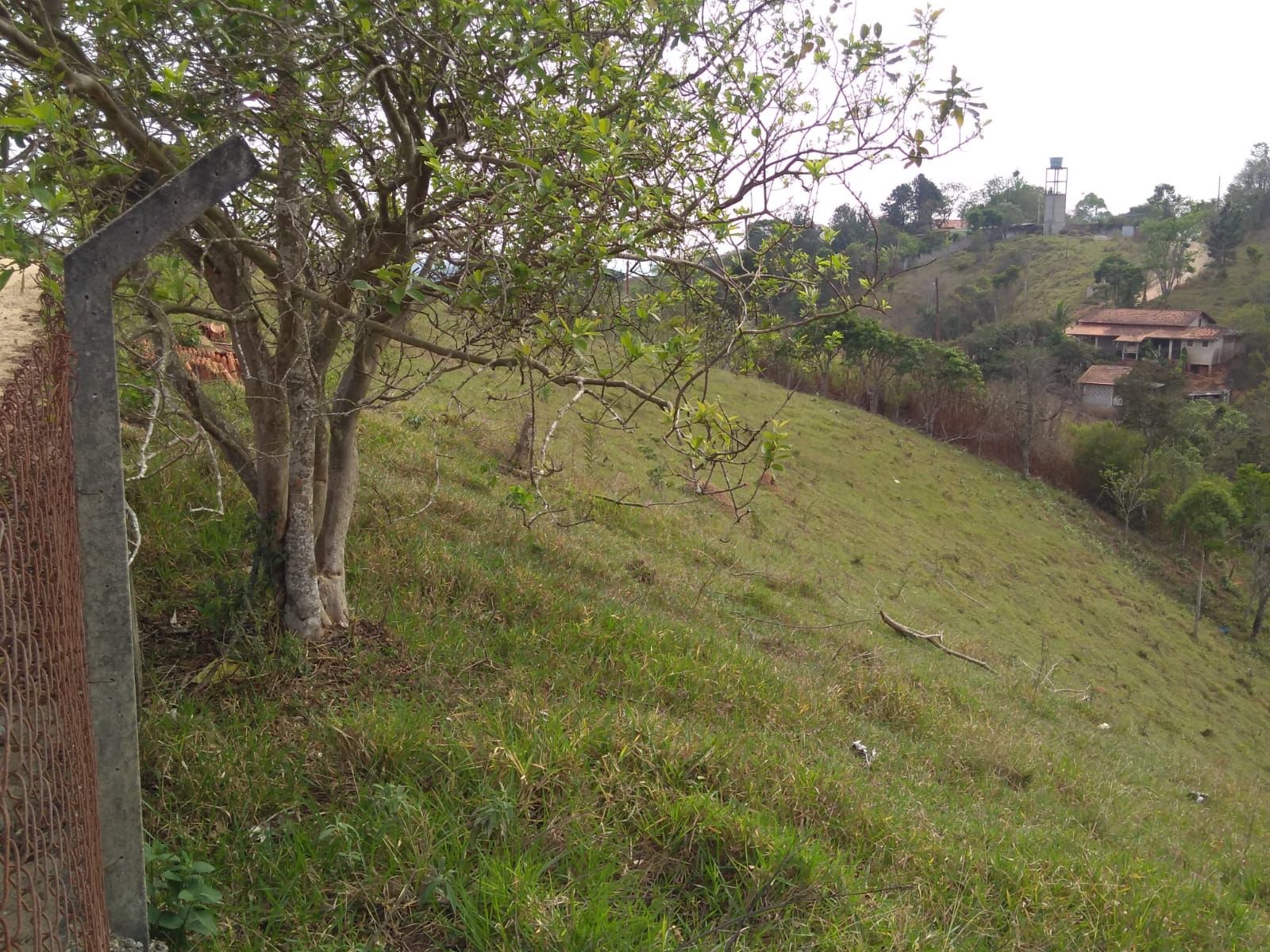 Chácara para venda