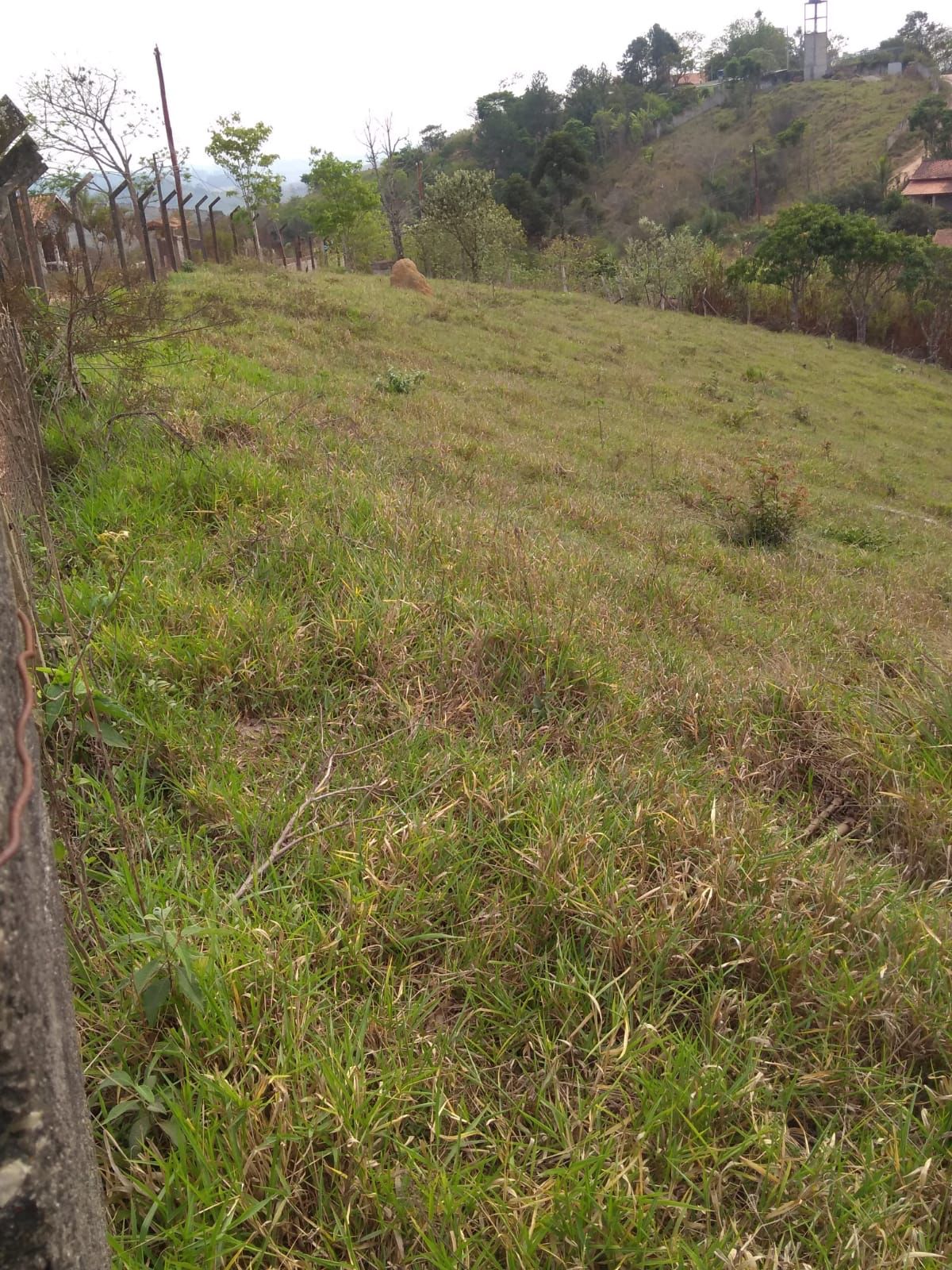 Chácara para venda