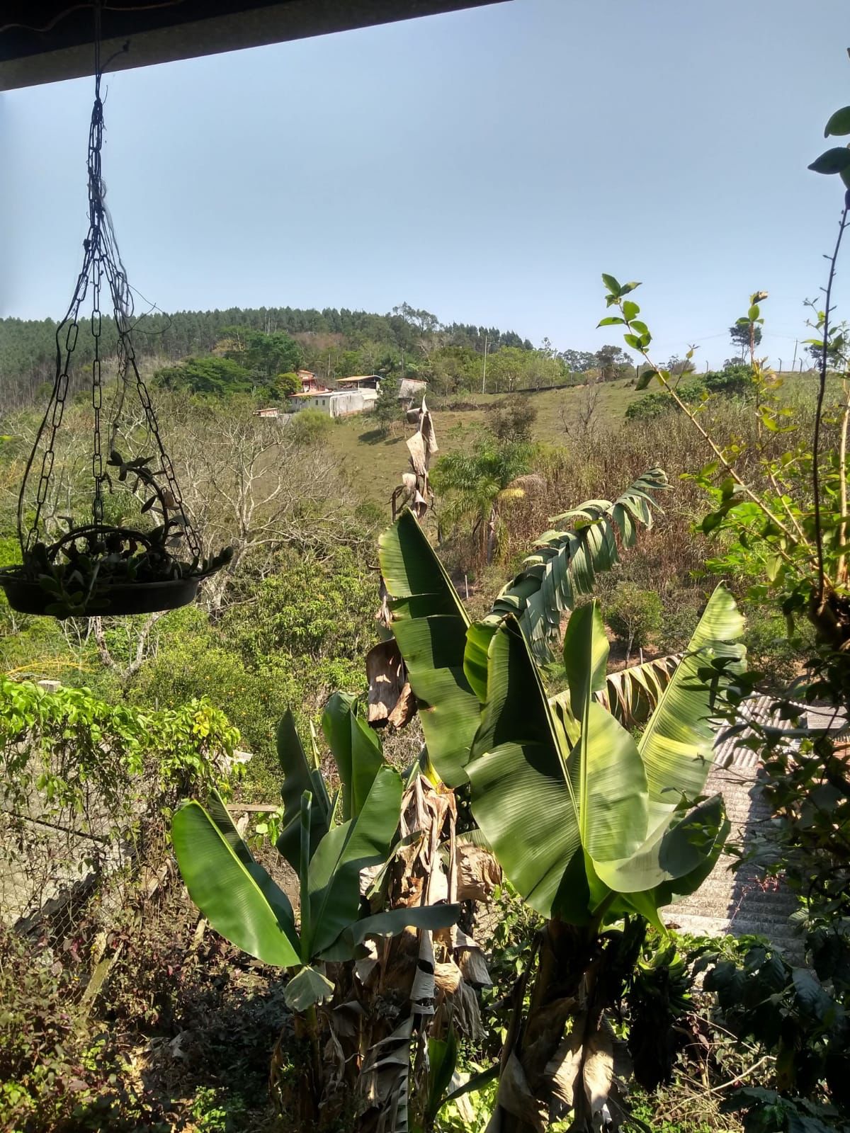 Chácara para venda