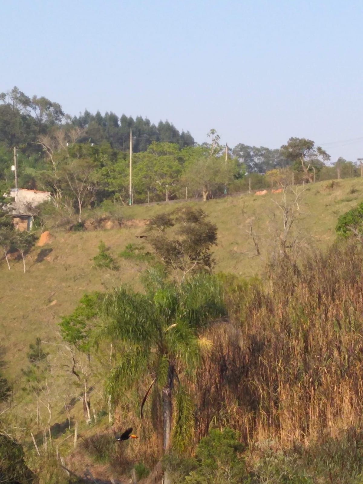 Chácara para venda